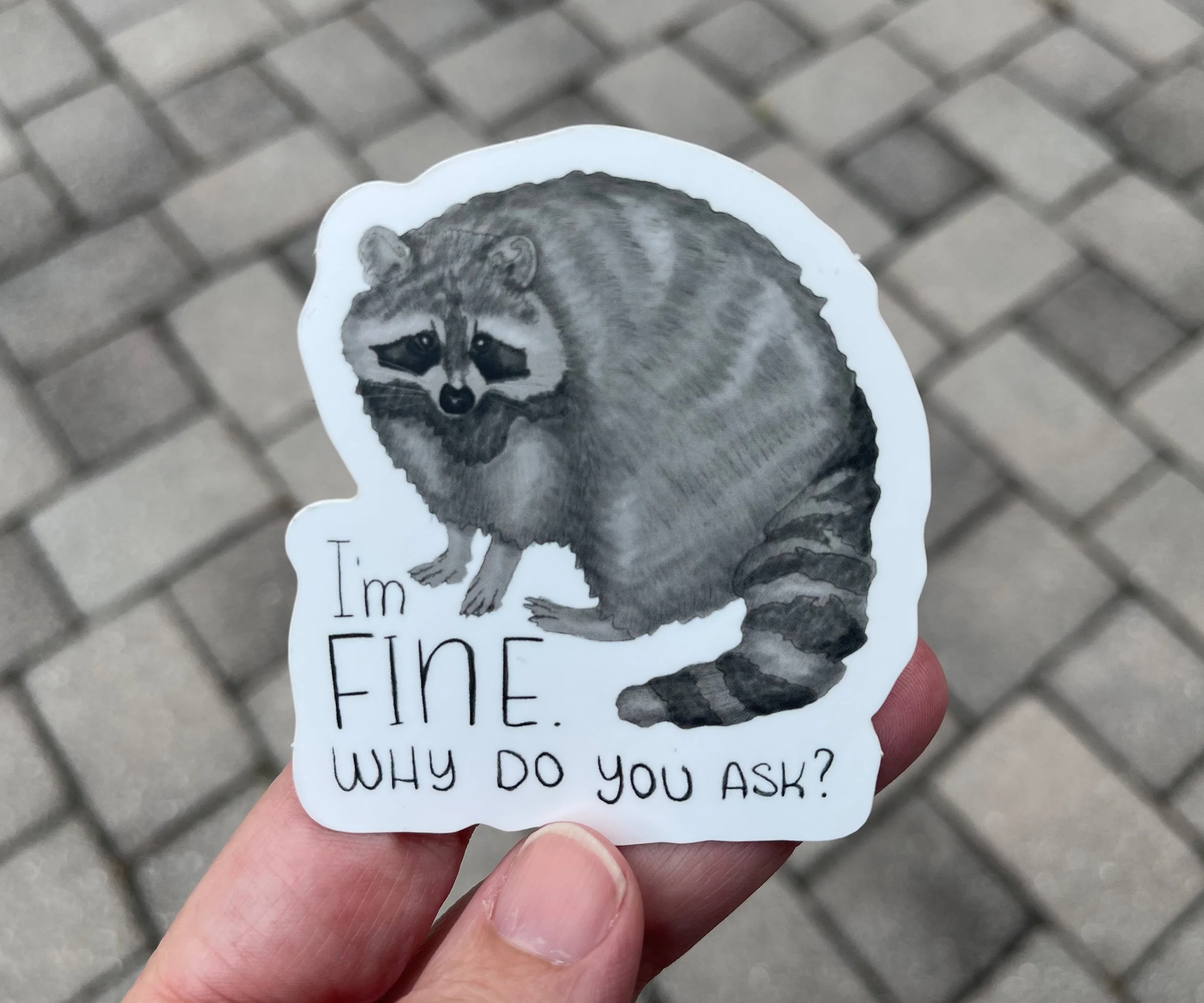 I'm Fine Raccoon 04.jpg