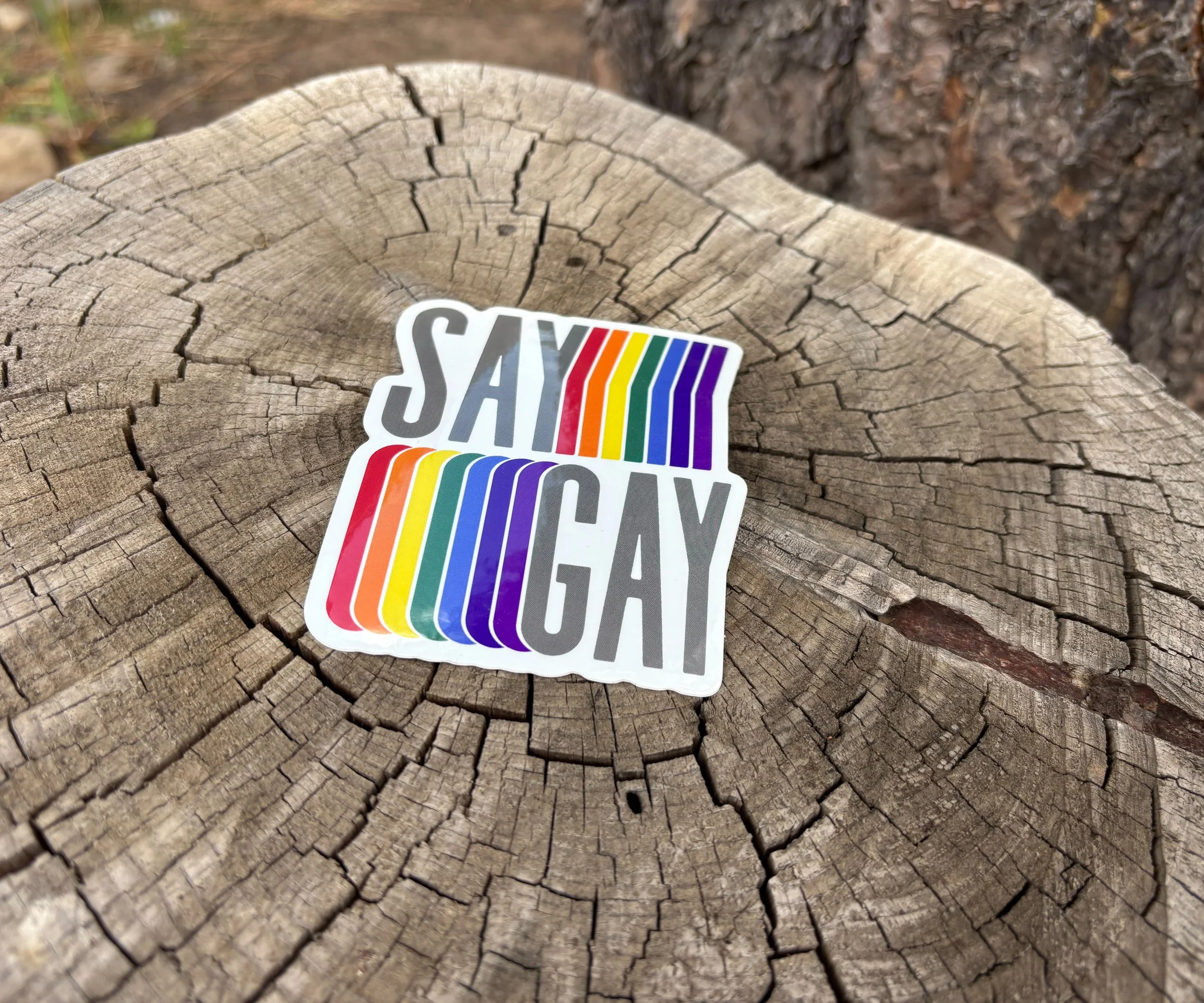 Say Gay Sticker 002.jpeg