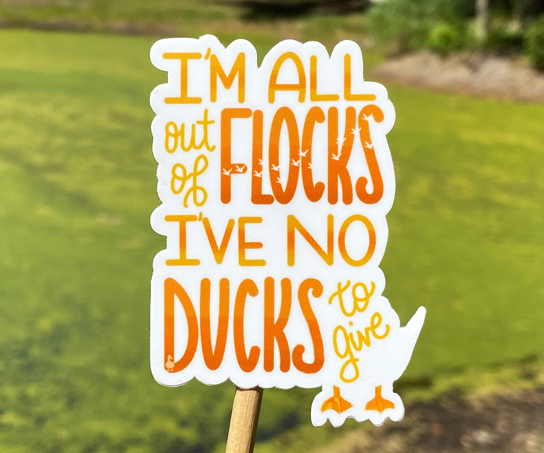 No Ducks To Give 02.jpg