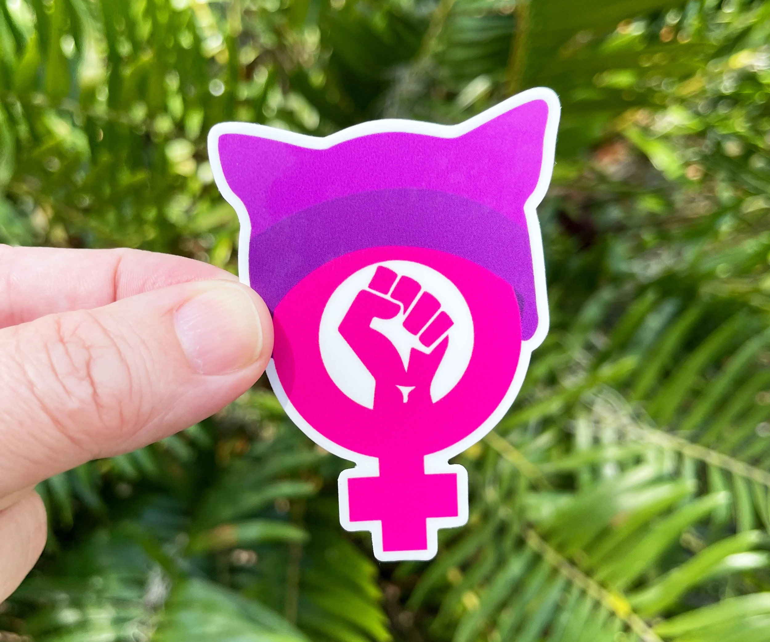Radical Feminist Pussy Hat 01.jpg