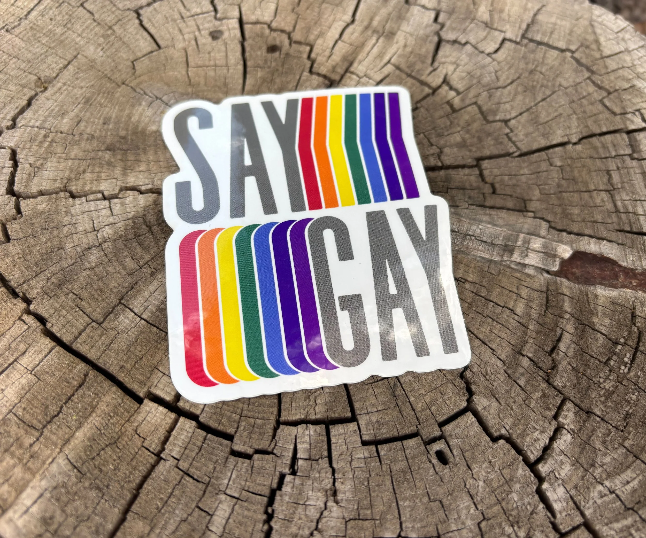 Say Gay Sticker.jpeg