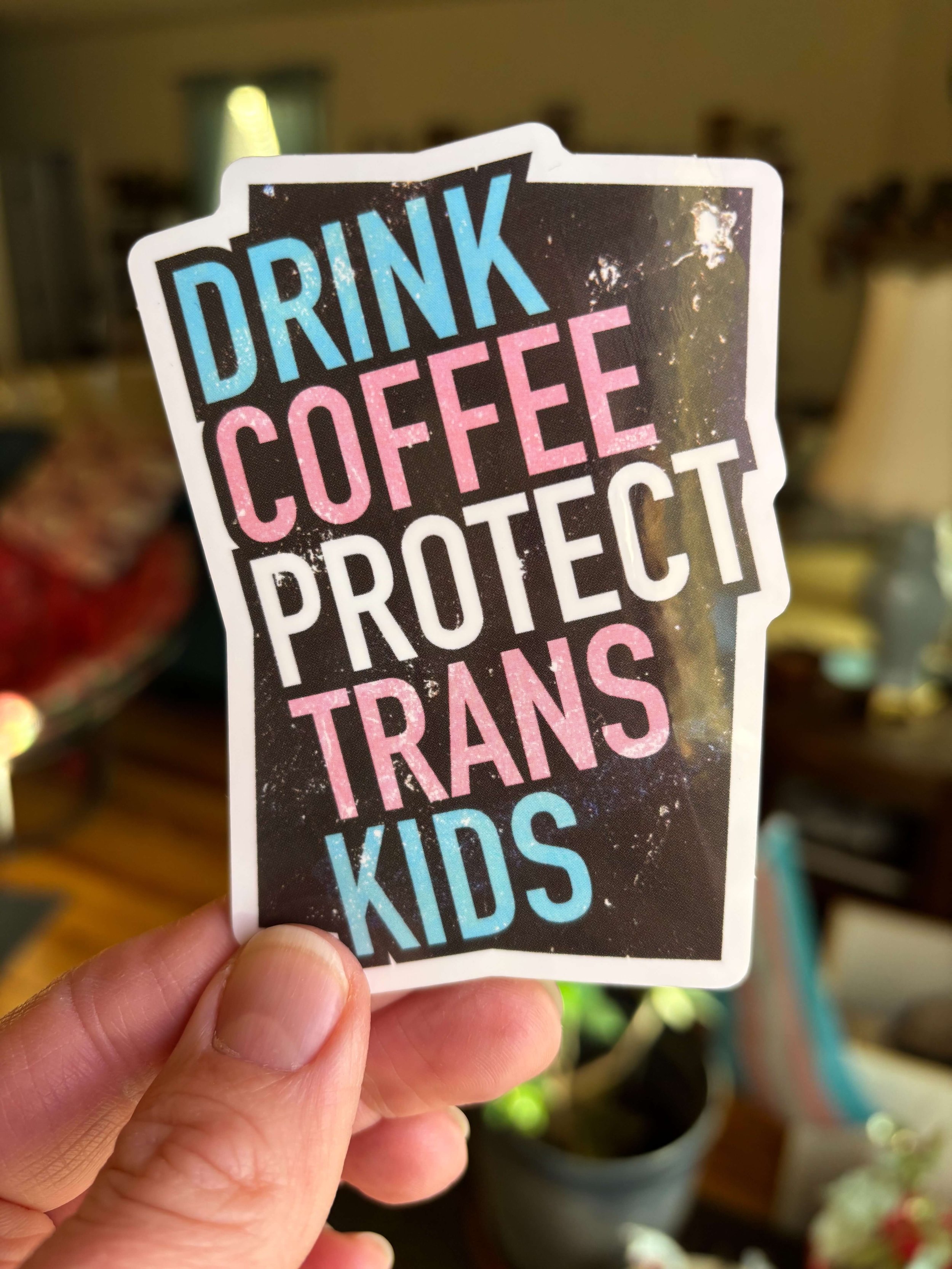 Protect Trans Kids Sticker
