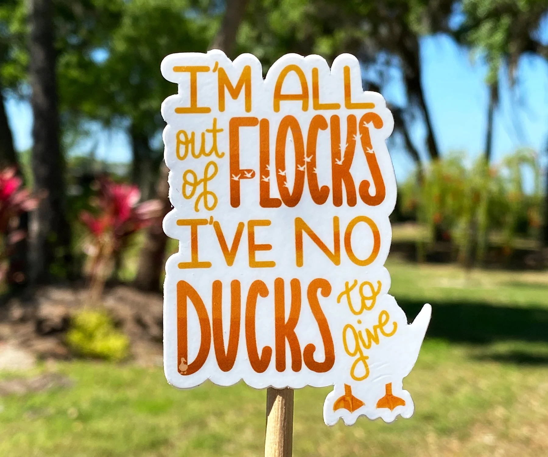 No Ducks To Give 01.jpg
