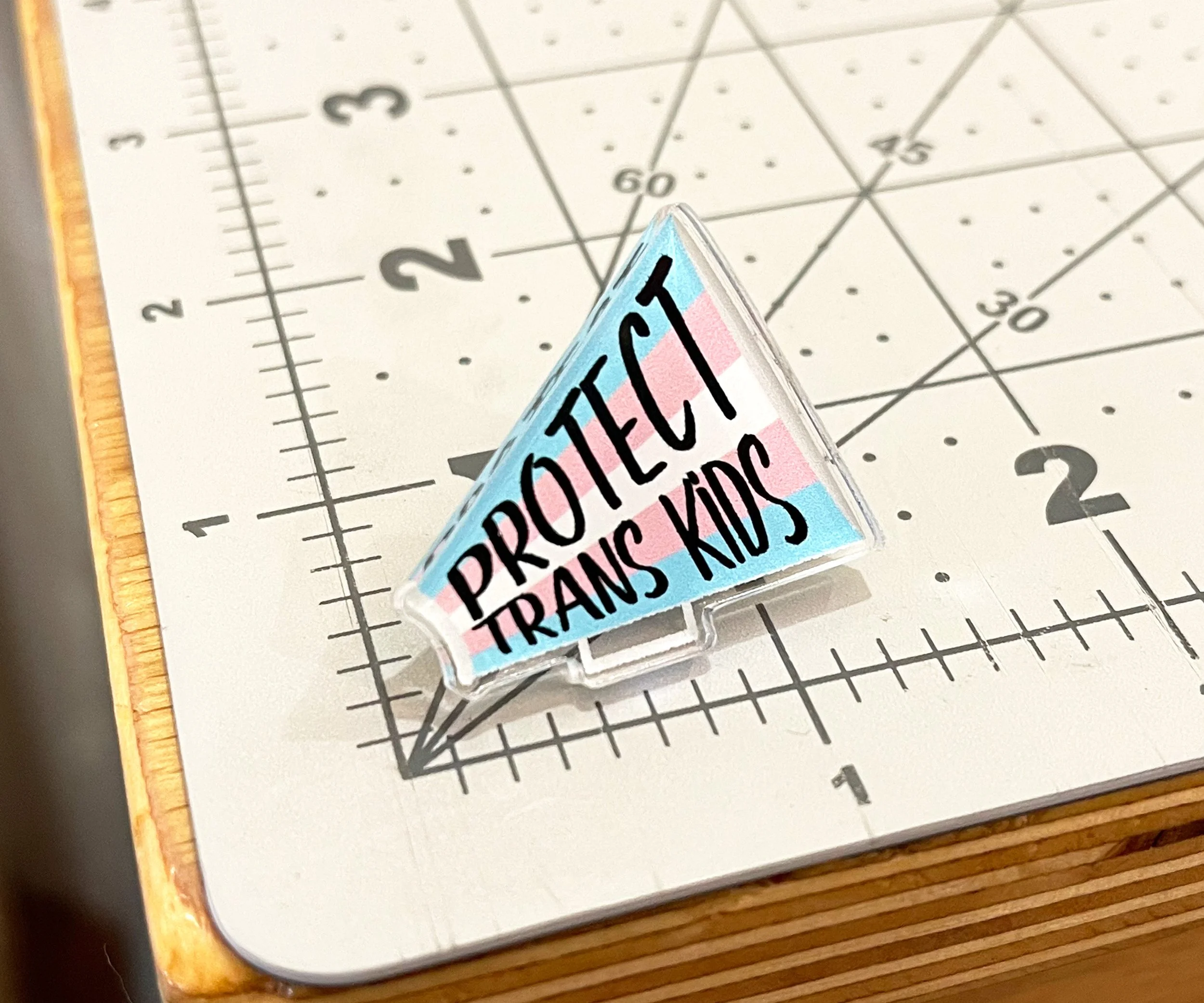 Protect Trans Kids Bullhorn Pin 04.jpg