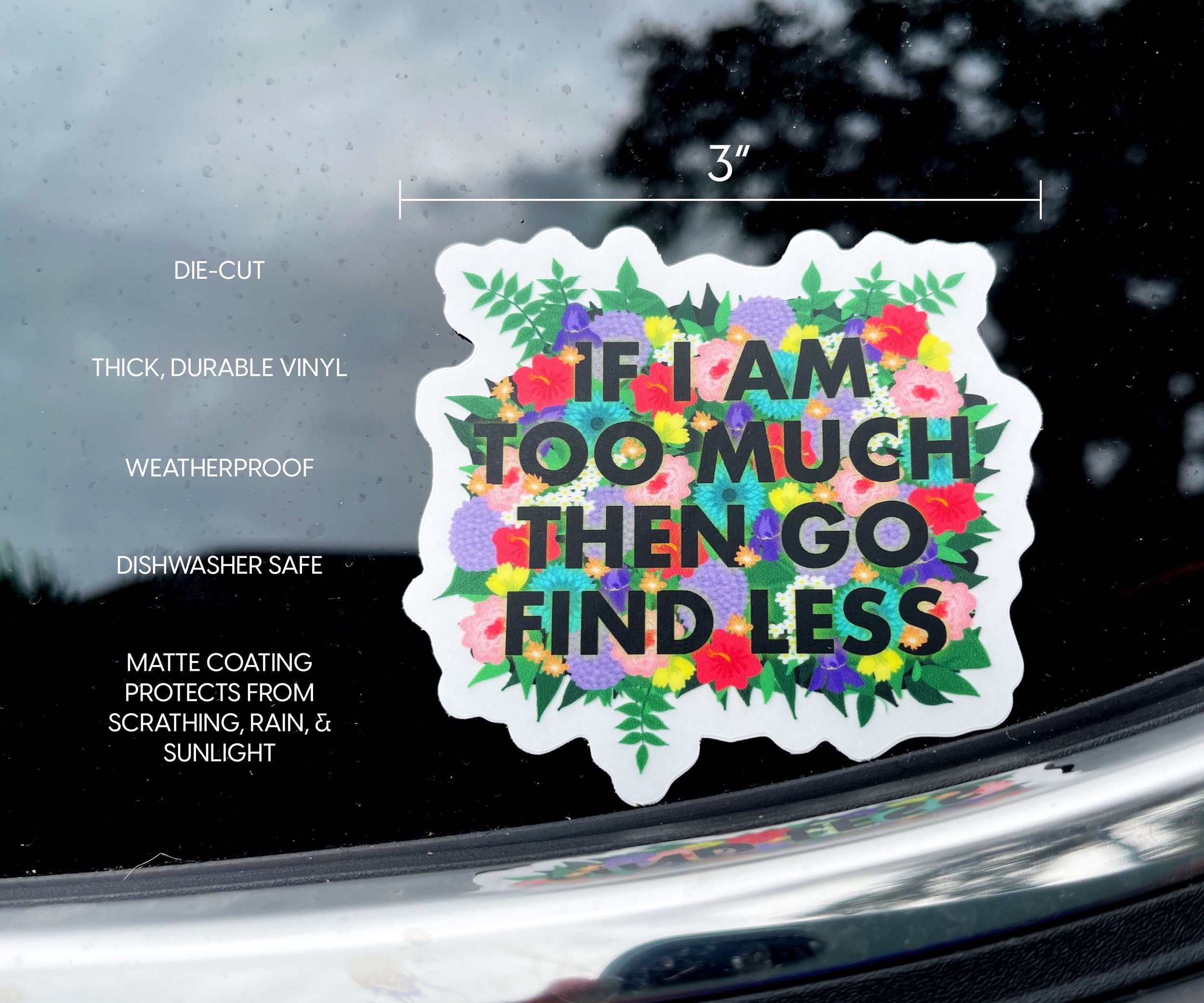 If I Am Too Much 03.jpg