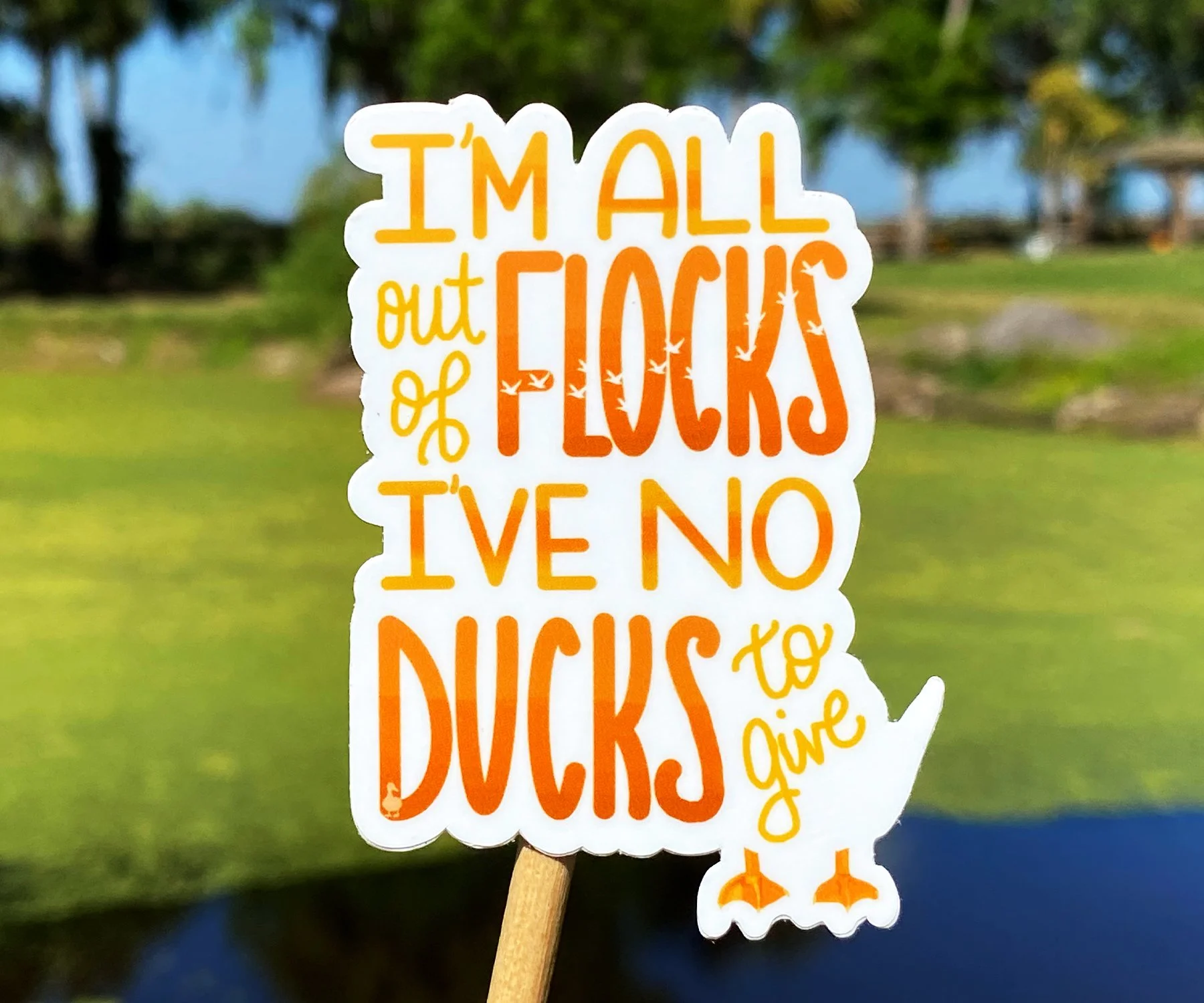 No Ducks To Give 04.jpg