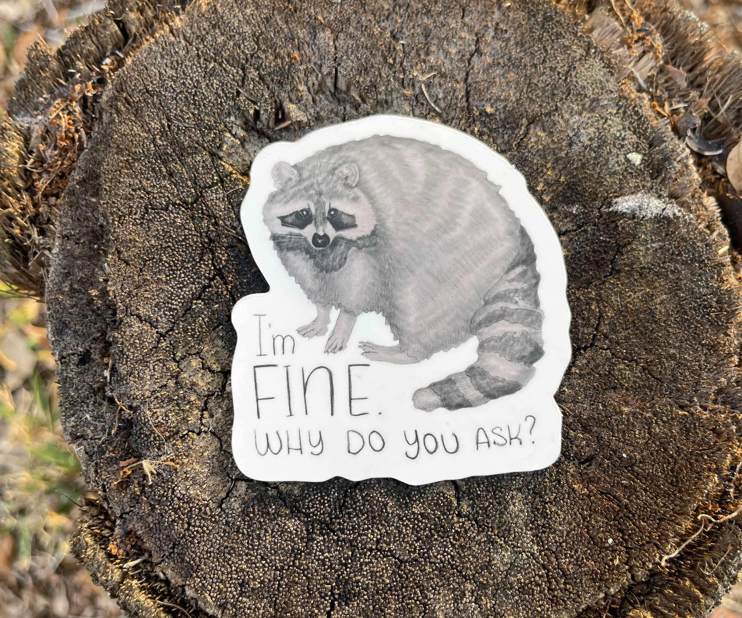 I'm Fine Raccoon 01.jpg