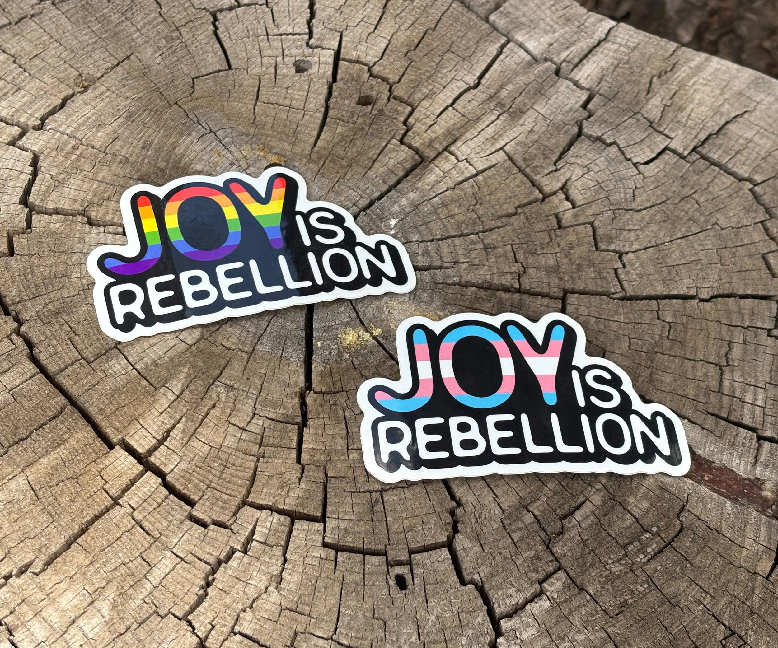 Joy is Rebellion Stickers.jpeg
