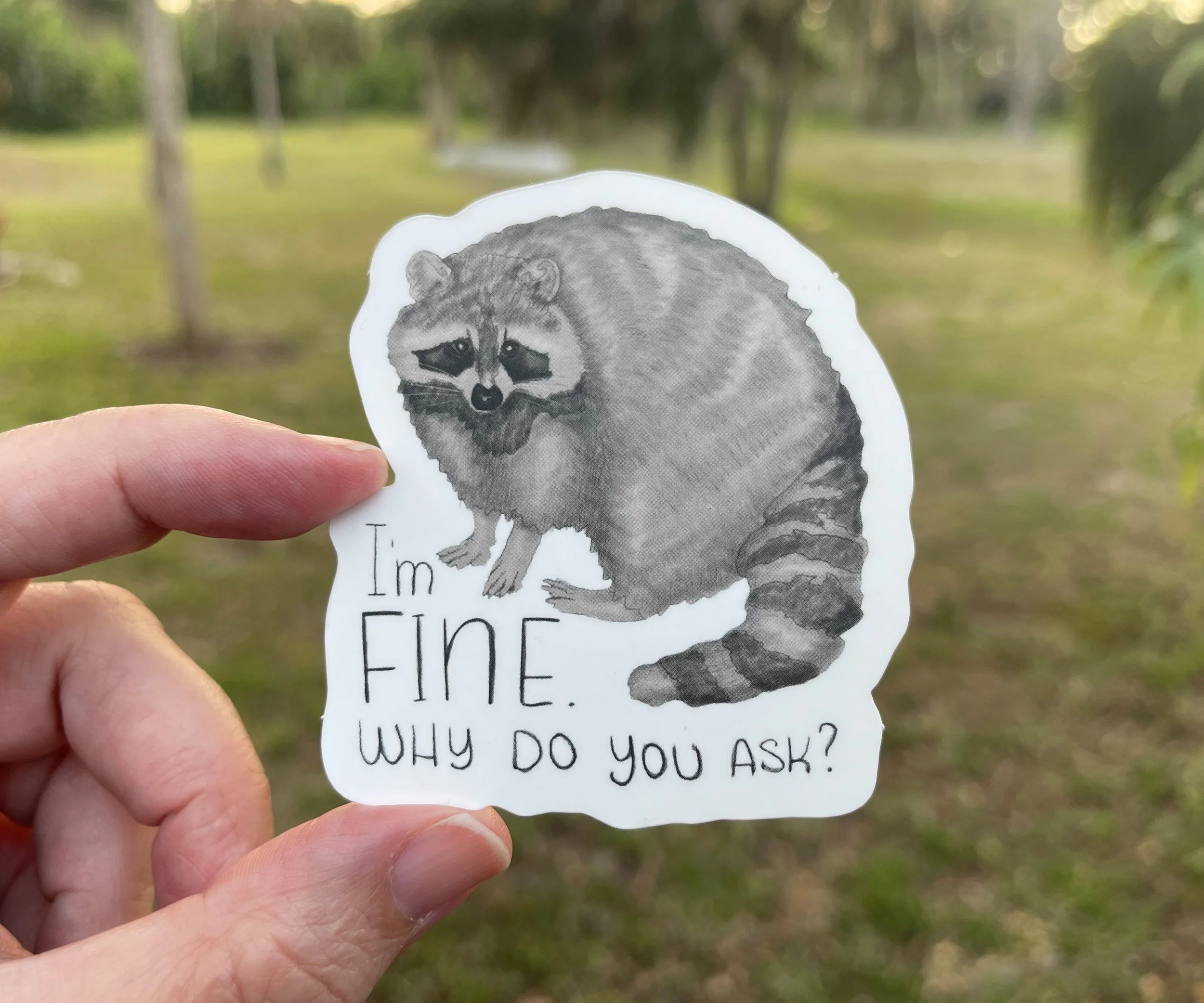 I'm Fine Raccoon 03.jpg