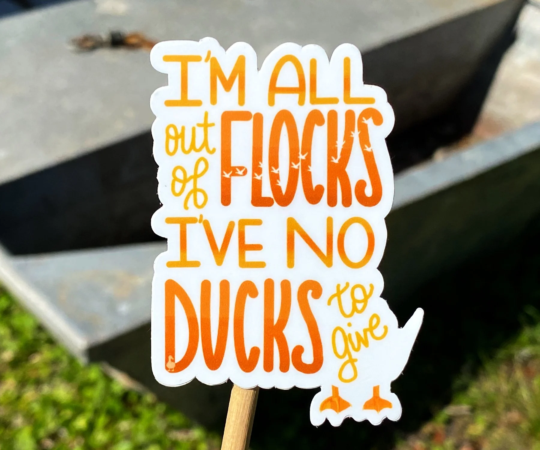 No Ducks To Give 03.jpg