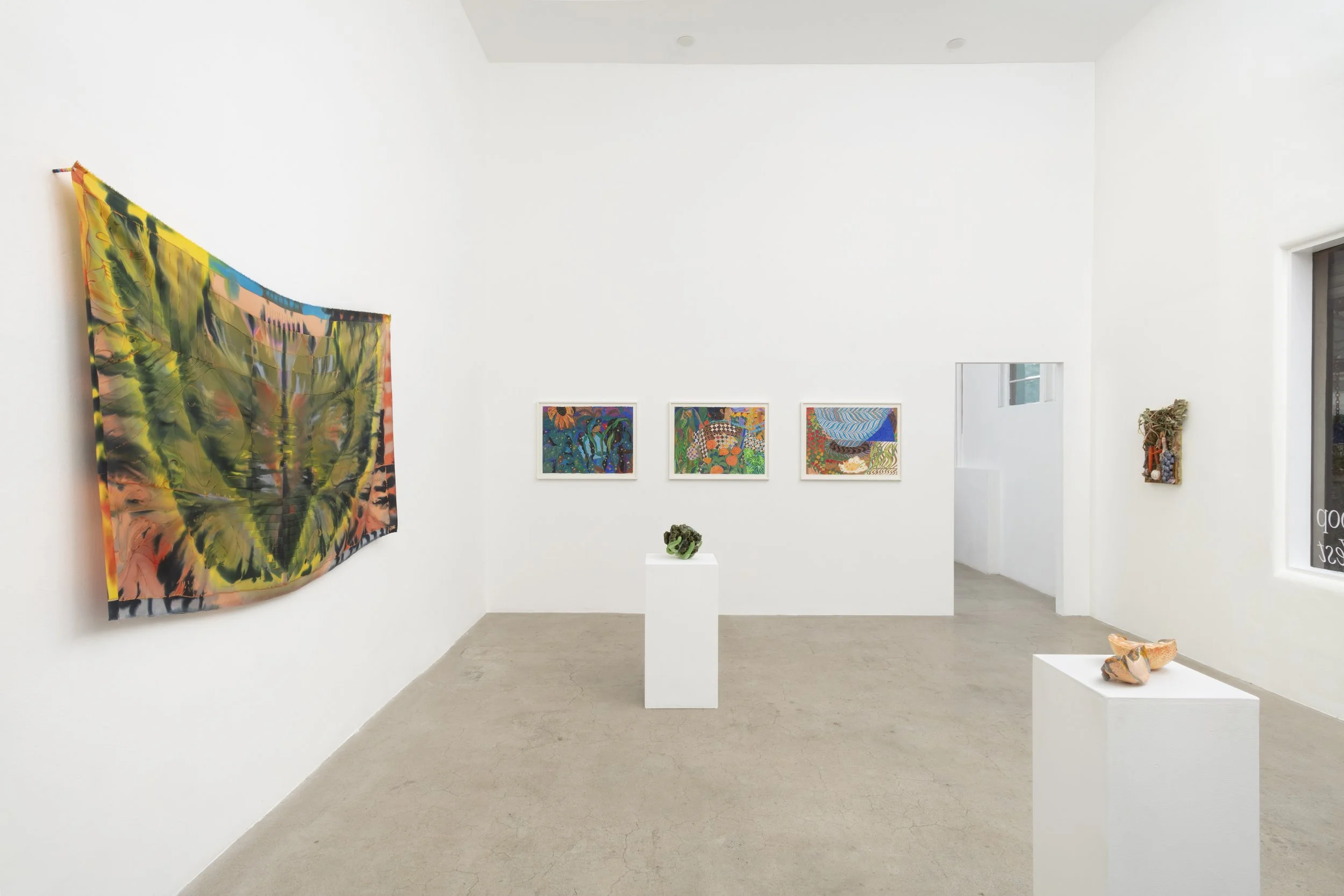 Installation view, Touching Grass, North Loop West, Los Angeles, CA. November 21, 2025 – January 3, 2026. Image courtesy Josh Schaedel.