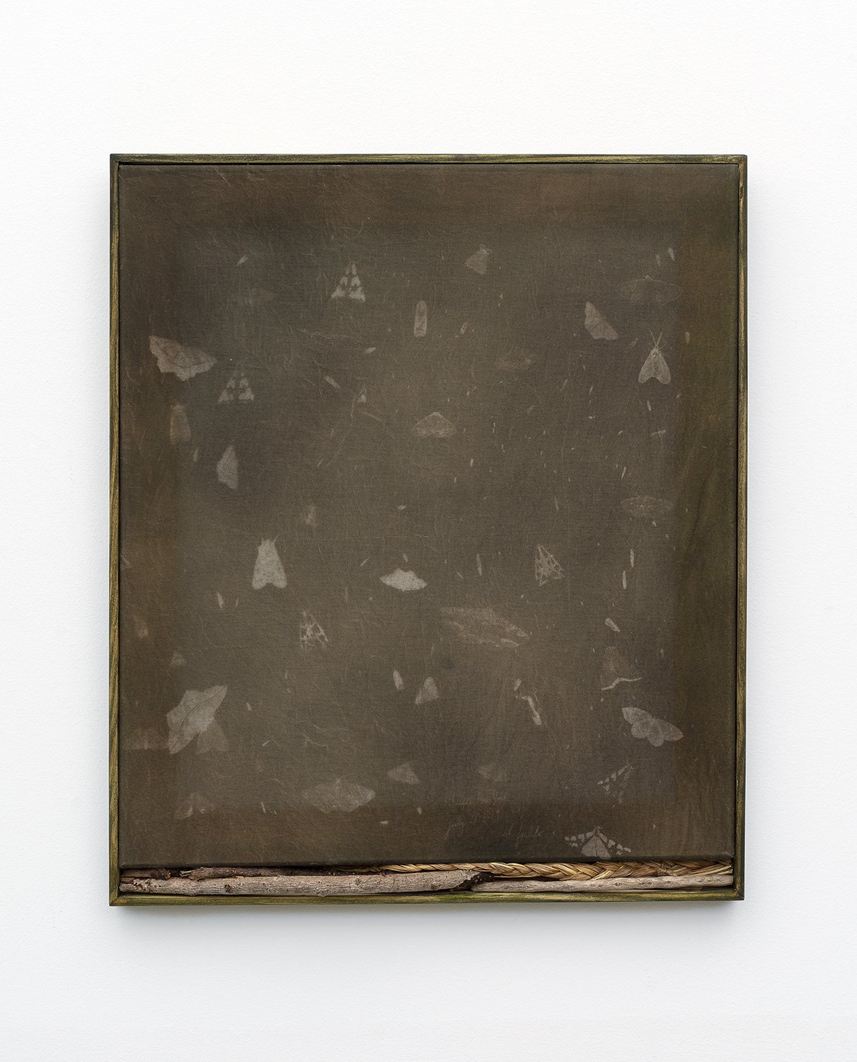 Ash Ferlito, Ithaca Marsh, 2020-2022, Green tea toned cyanotype on muslin, sumac, willow and grass, acrylic on stretcher, artist made frame, 18 x 14in.
