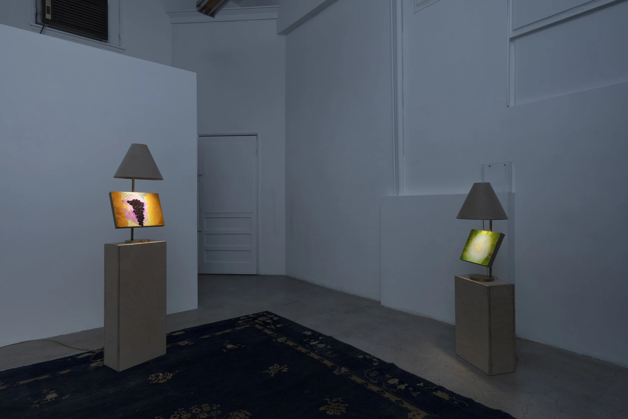 Installation view, Dustin Metz: The Lamp Paintings, North Loop West, Los Angeles, CA. February 20 - April 4, 2026. Image courtesy Josh Schaedel.