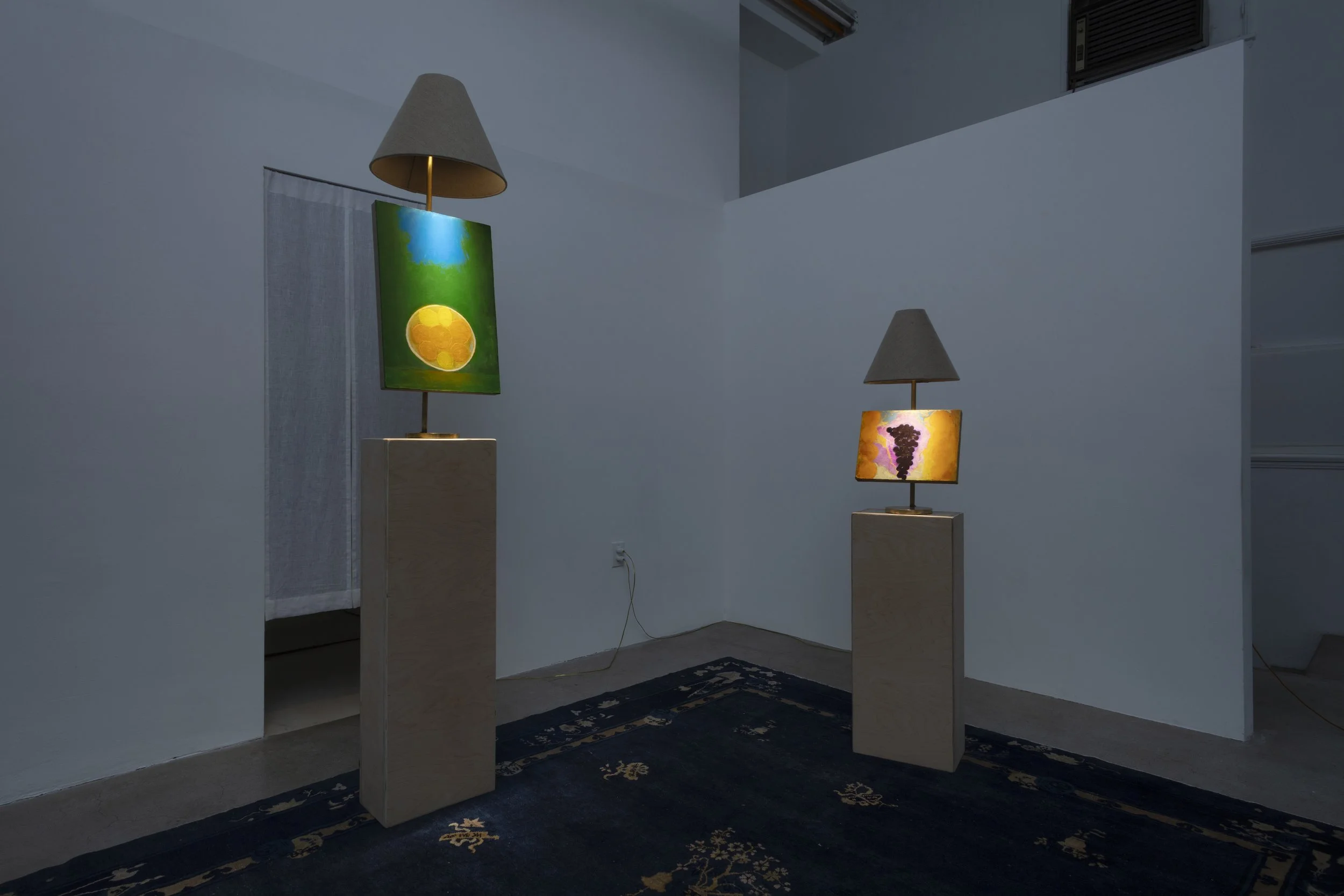 Installation view, Dustin Metz: The Lamp Paintings, North Loop West, Los Angeles, CA. February 20 - April 4, 2026. Image courtesy Josh Schaedel.