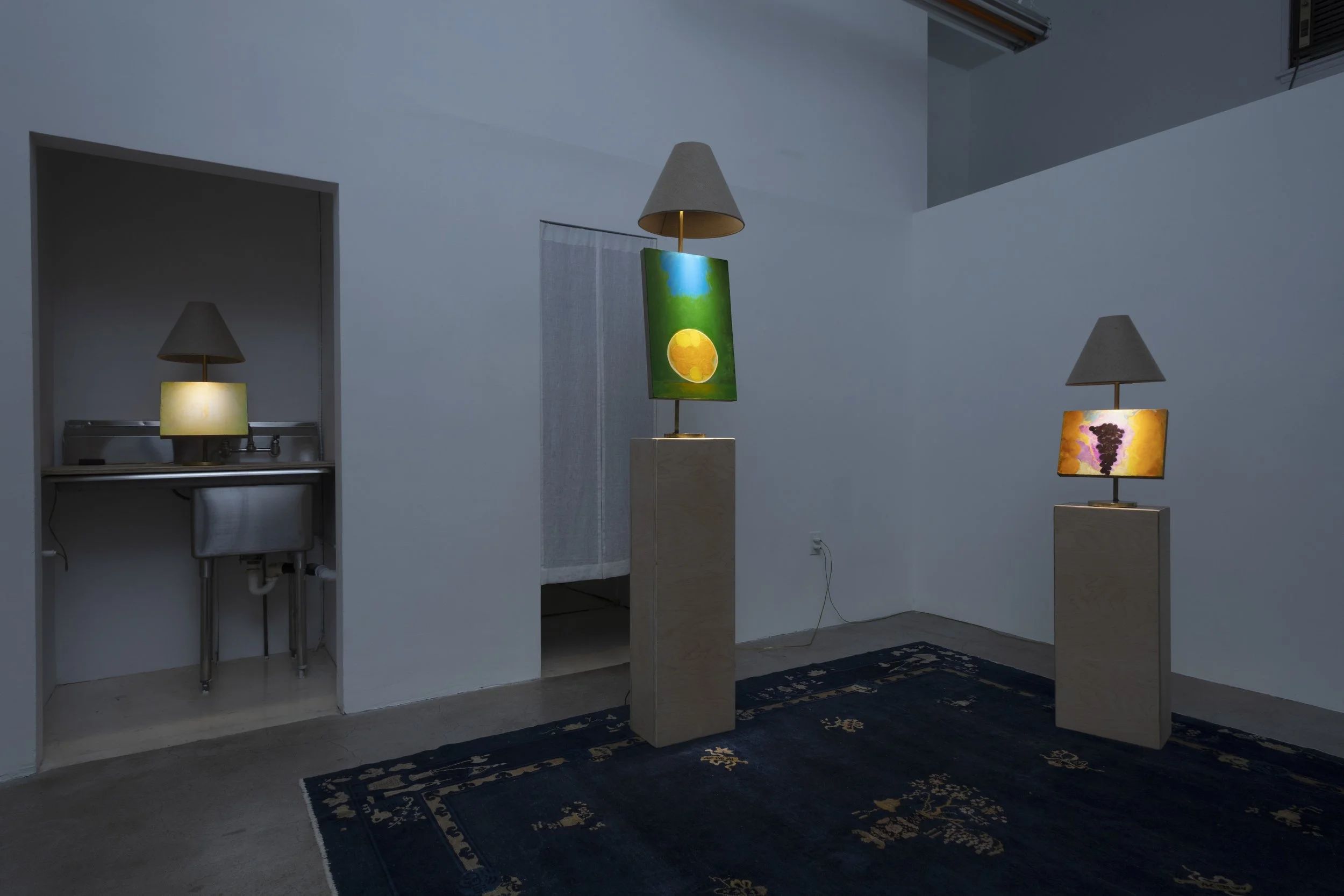 Installation view, Dustin Metz: The Lamp Paintings, North Loop West, Los Angeles, CA. February 20 - April 4, 2026. Image courtesy Josh Schaedel.