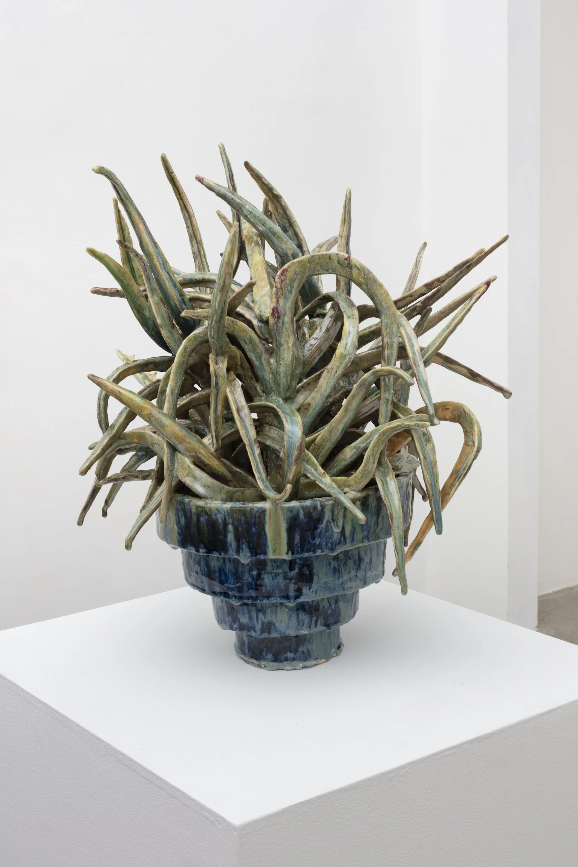 Ryan Flores, Succulent, 2025, glazed porcelain, 28 x 16 x 16 in. 