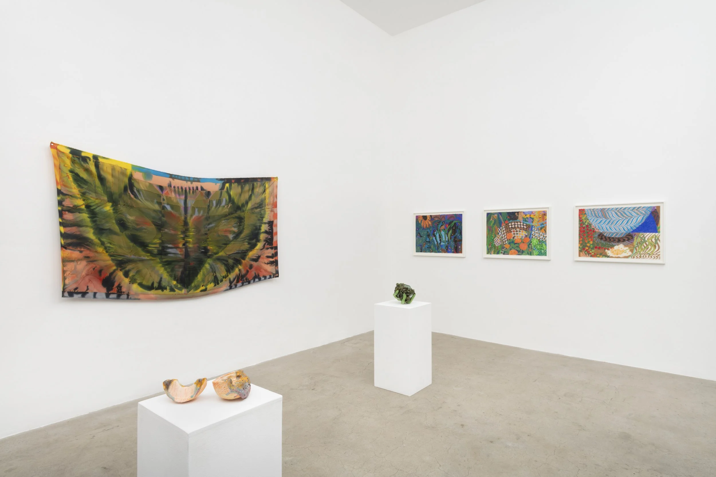 Installation view, Touching Grass, North Loop West, Los Angeles, CA. November 21, 2025 – January 3, 2026. Image courtesy Josh Schaedel.