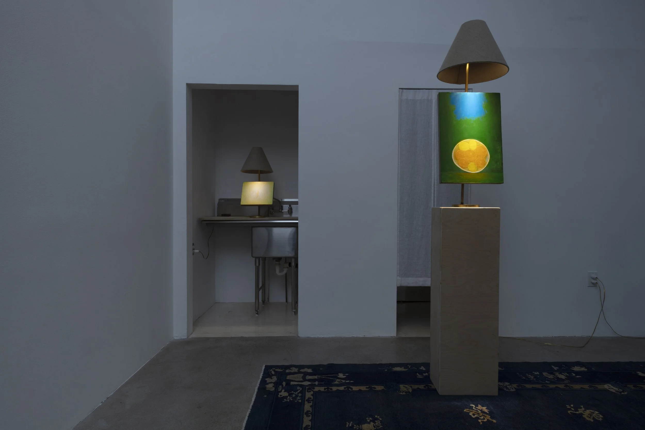 Installation view, Dustin Metz: The Lamp Paintings, North Loop West, Los Angeles, CA. February 20 - April 4, 2026. Image courtesy Josh Schaedel.