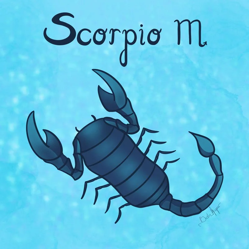 Scorpio_BethHarperDesign_800x800.jpg