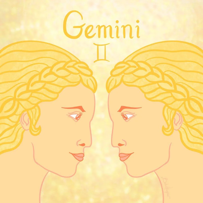 Gemini_BethHarperDesign_800x800.jpg