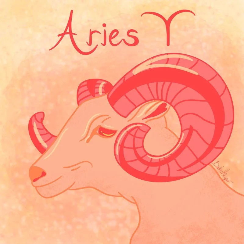 Aries_BethHarperDesign_800x800.jpg