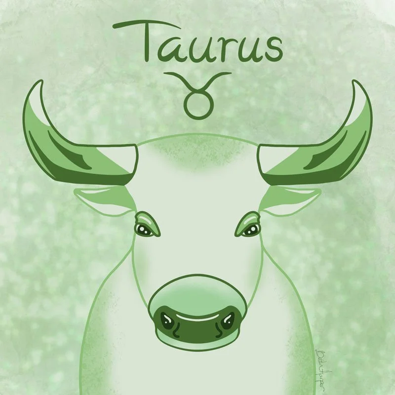 Taurus_BethHarperDesign_800x800.jpg