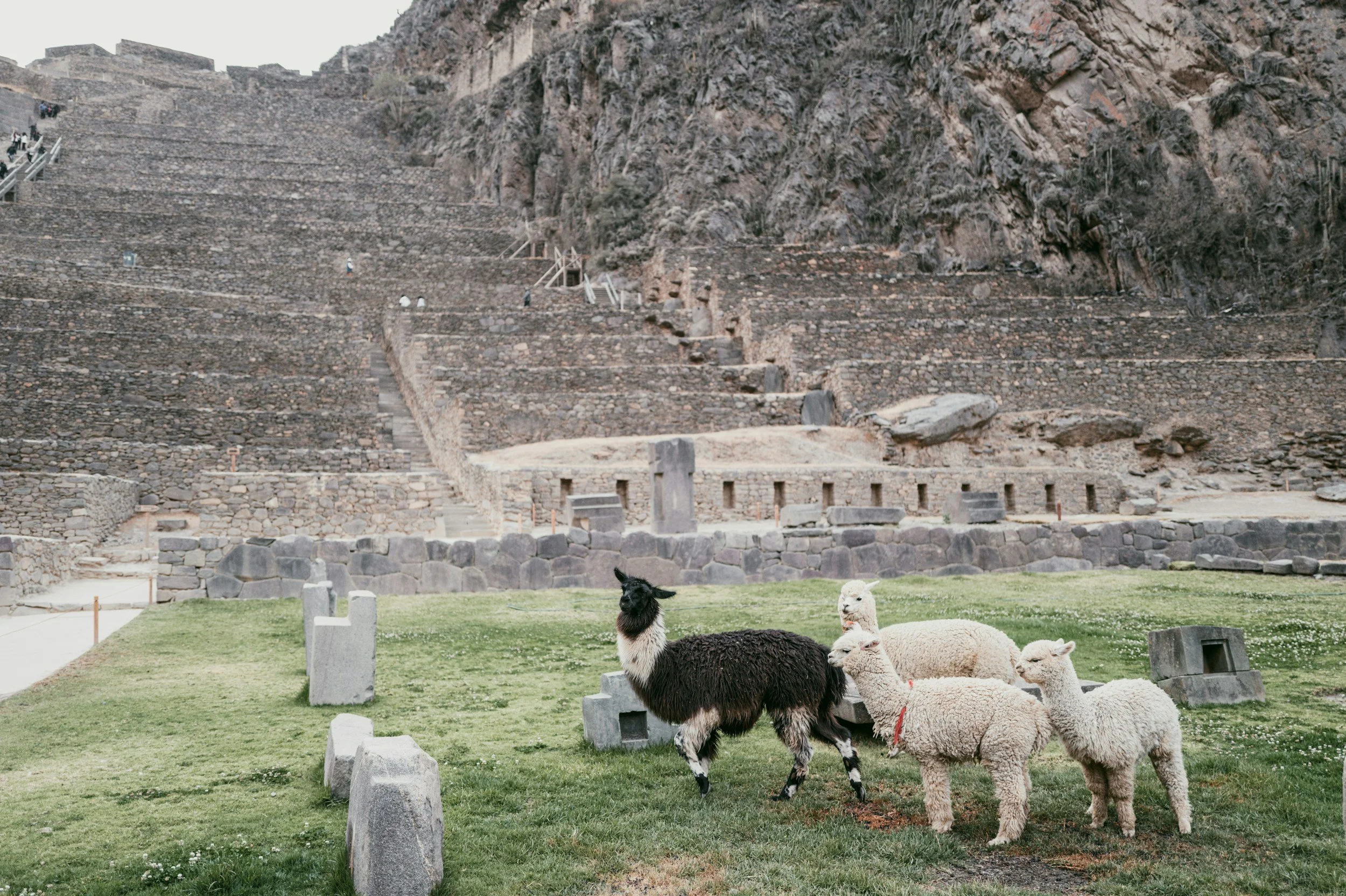 Ollantaytambo ruins Sacred Valley Peru with kids