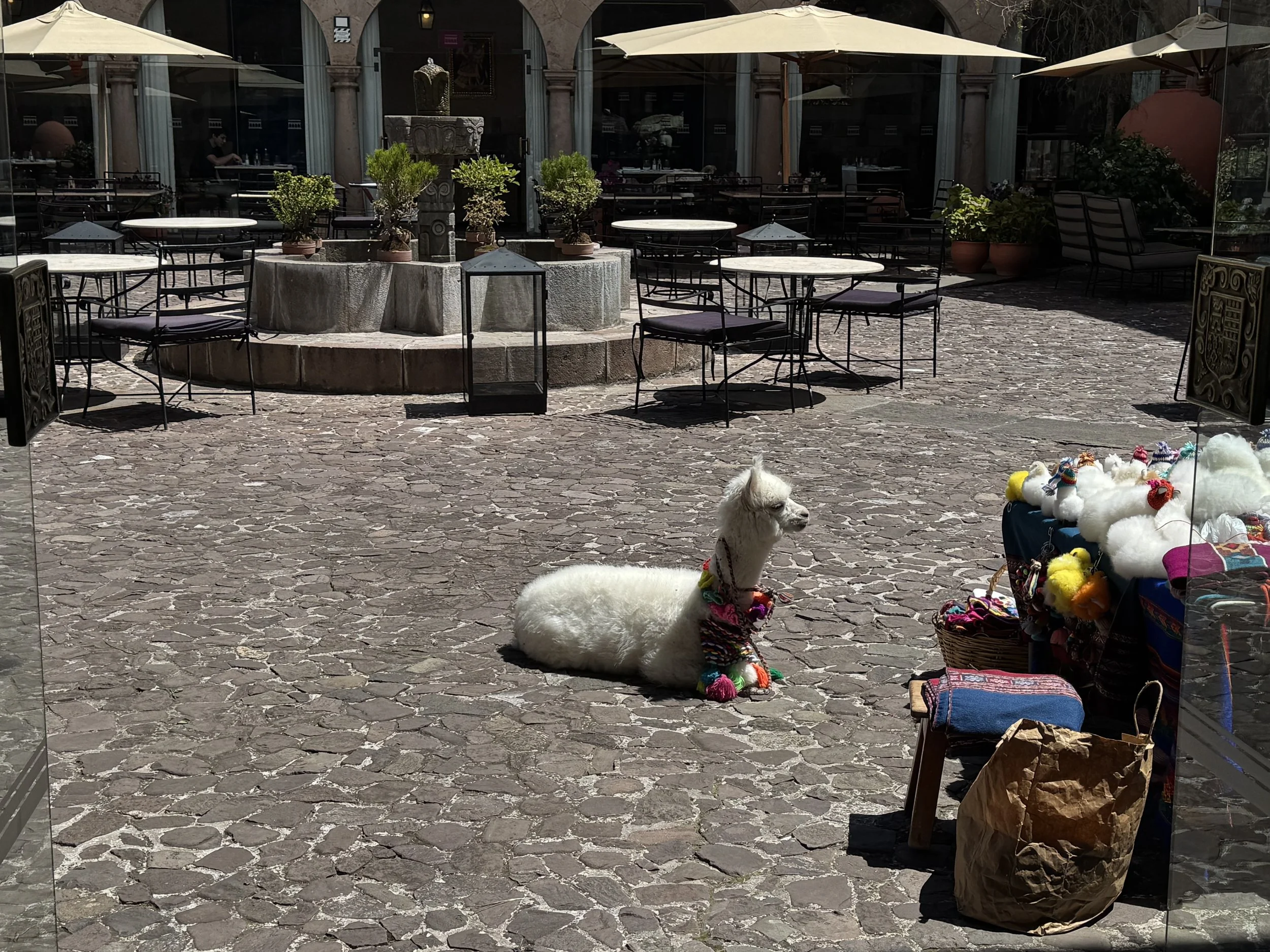 palacio del inka cusco alpacas in courtyard family-friendly hotel for machu picchu