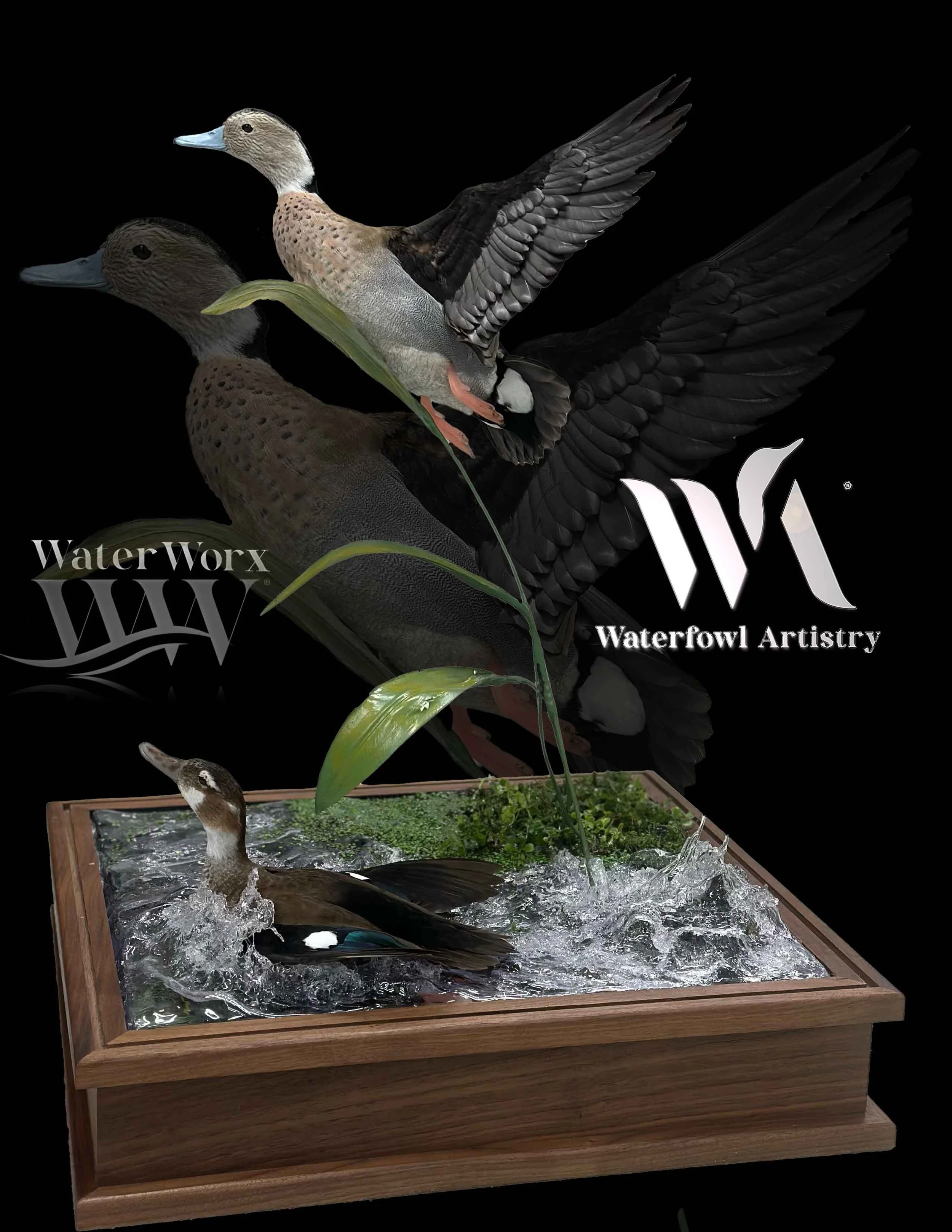 Ring Teal .jpg