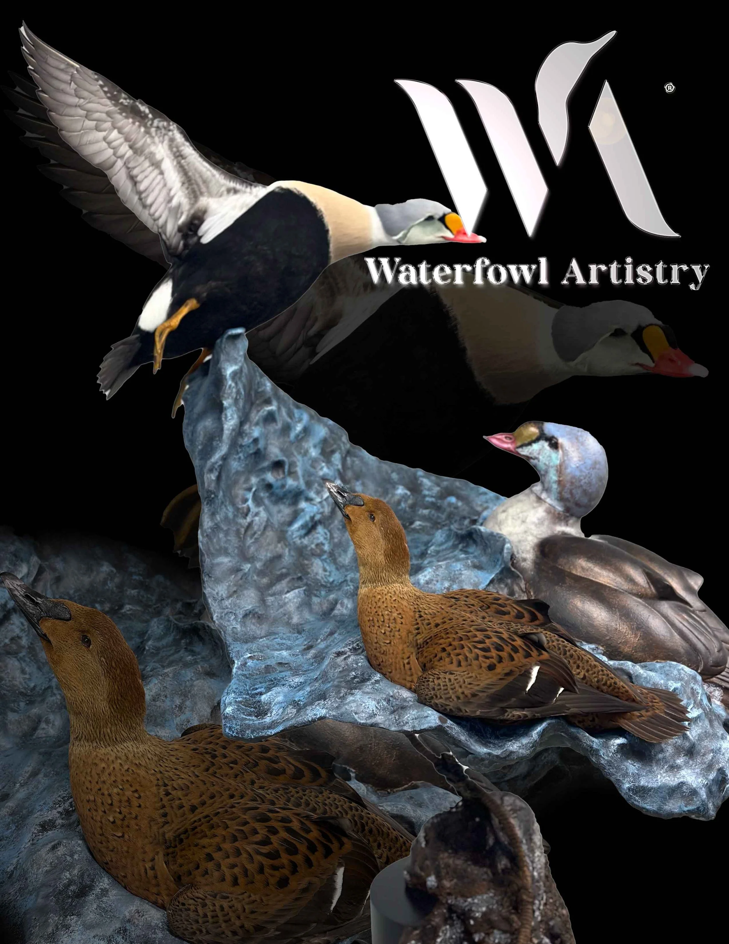 King Eider sculpture .jpg