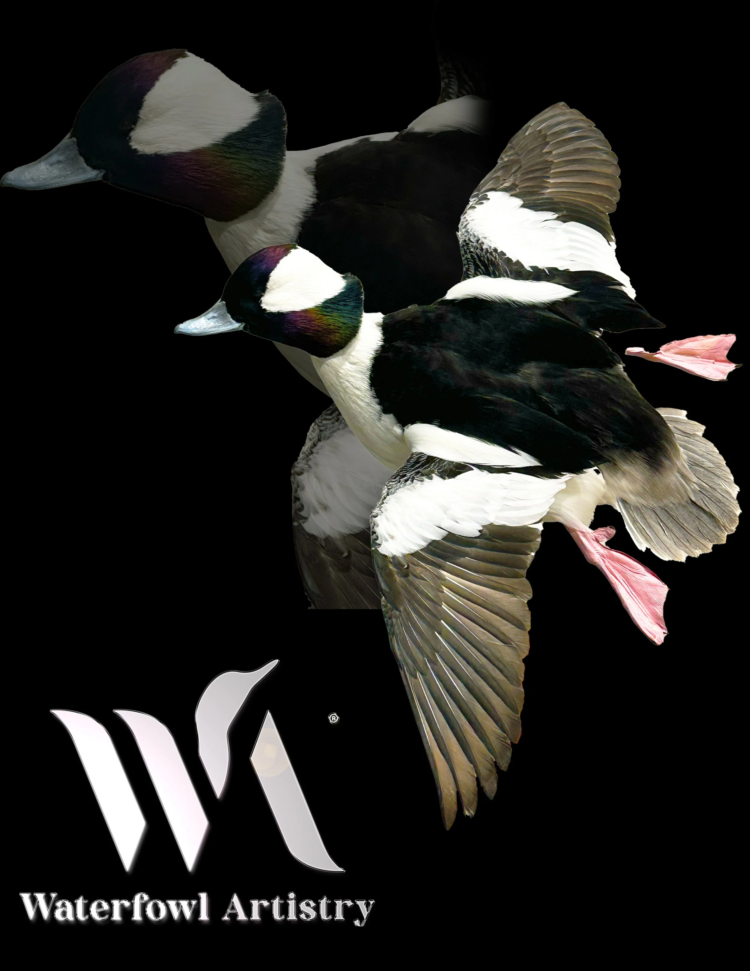 Flying Buffy  copy.jpg