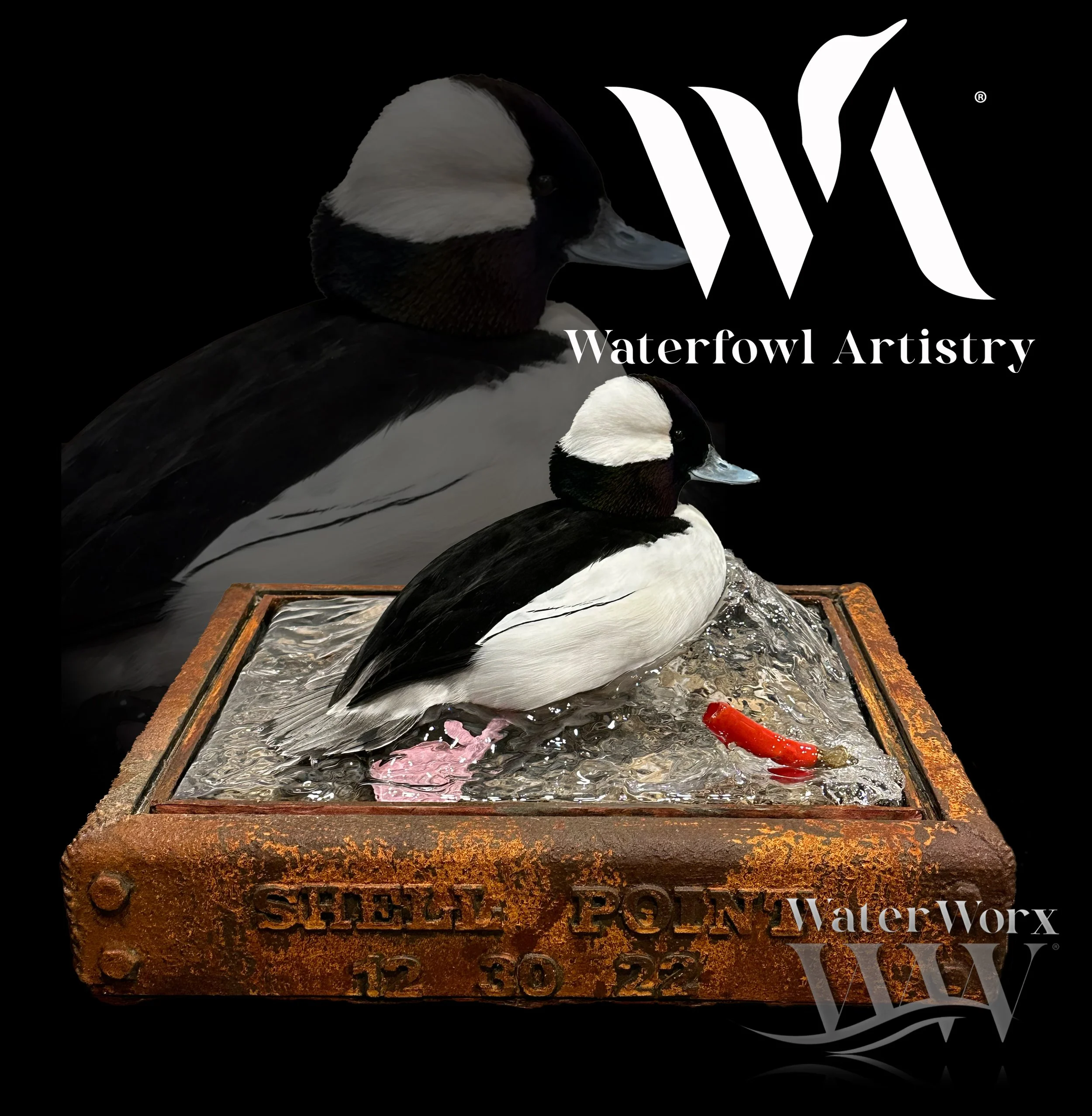 Anderson Buffy internet file .jpg