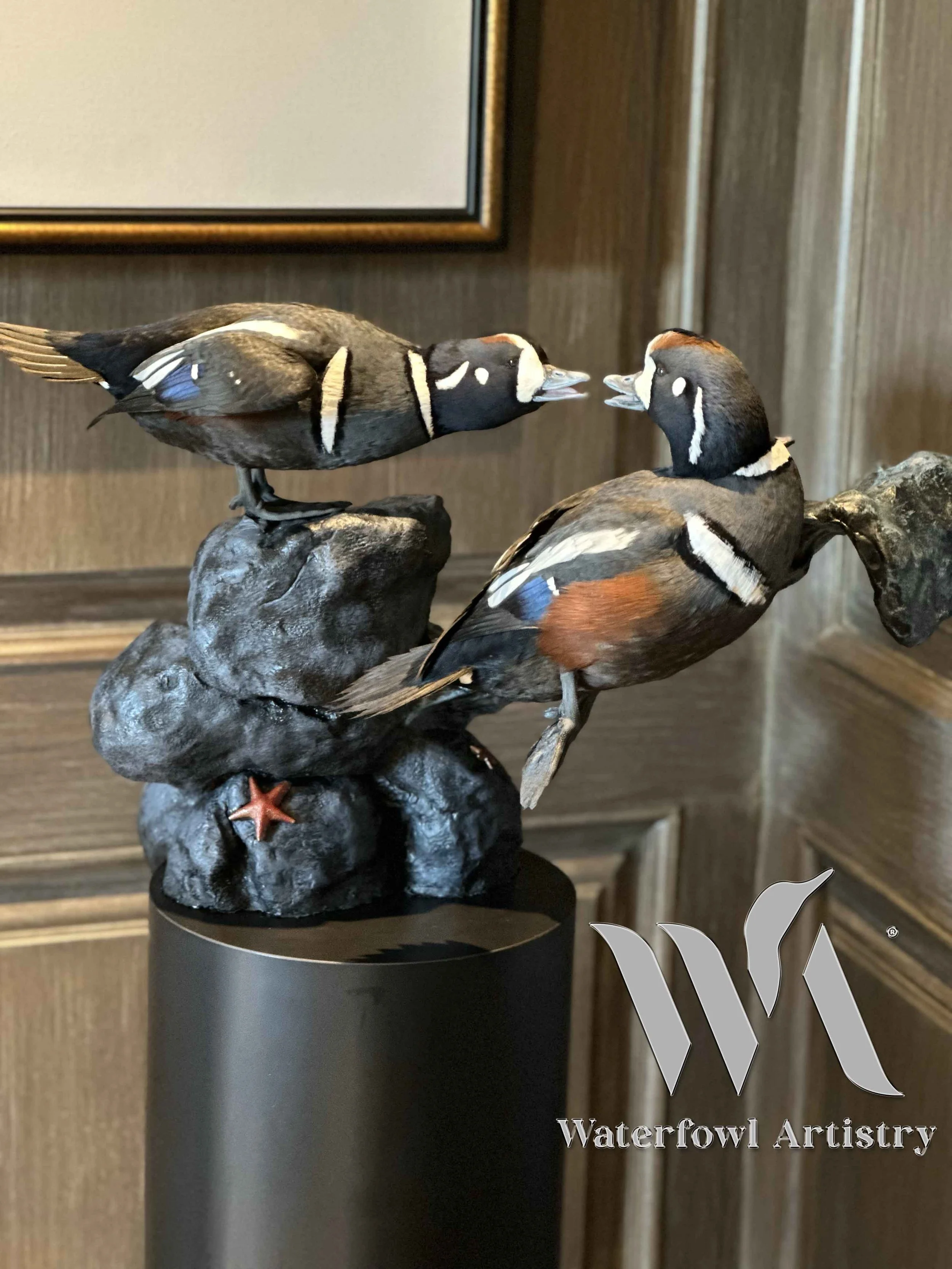 Johns harleys 2 .jpg