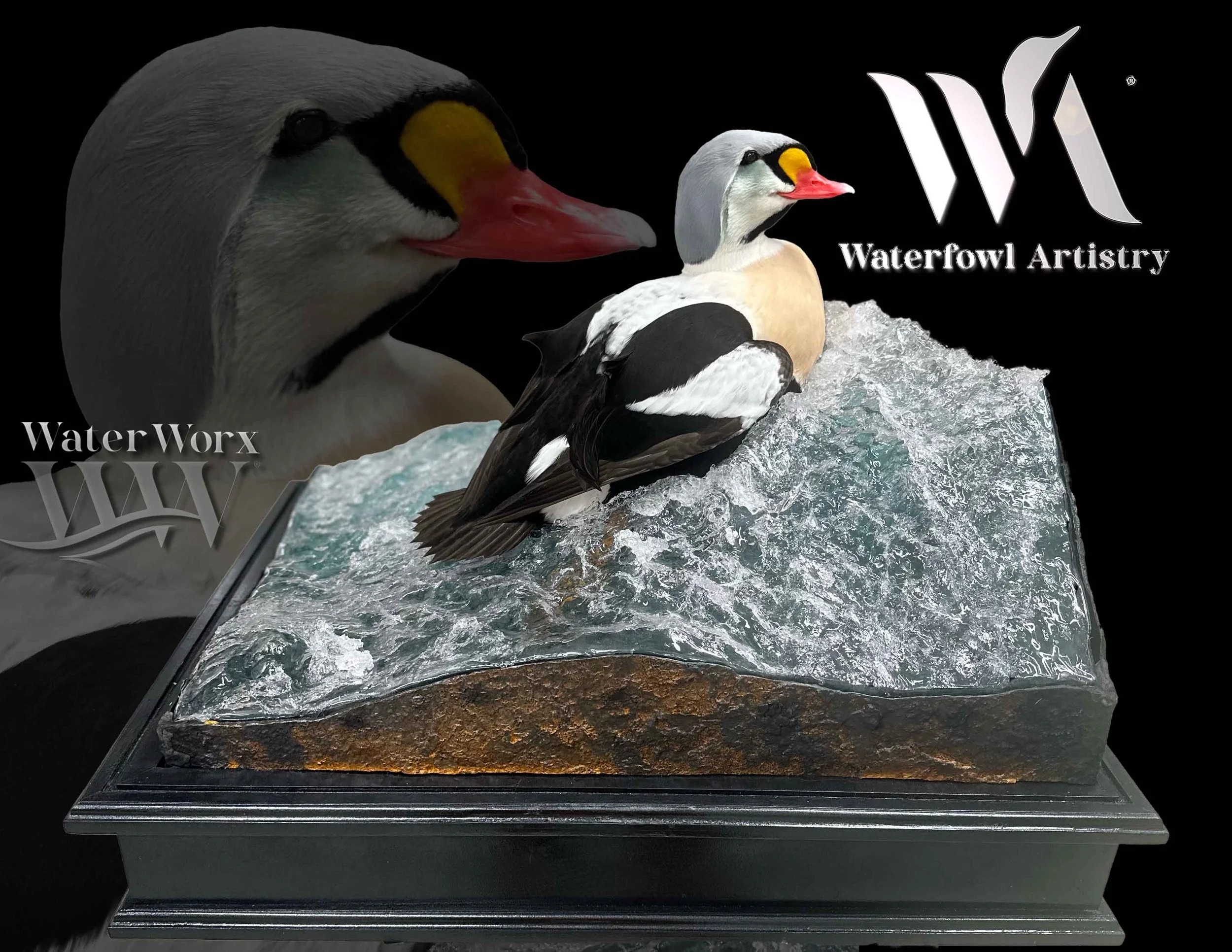 Jacks Single King .jpg