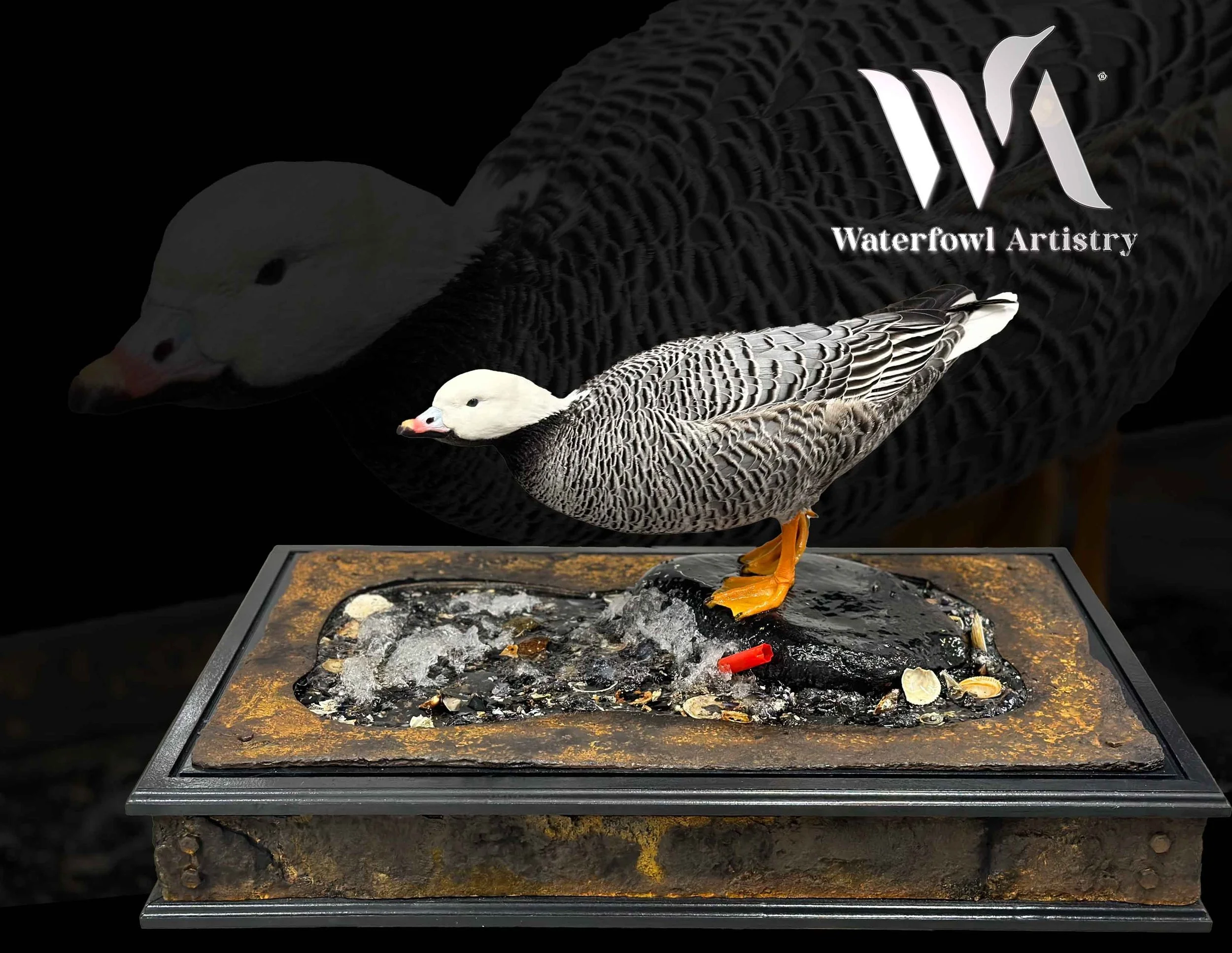 Charlie Emperor goose final copy.jpg