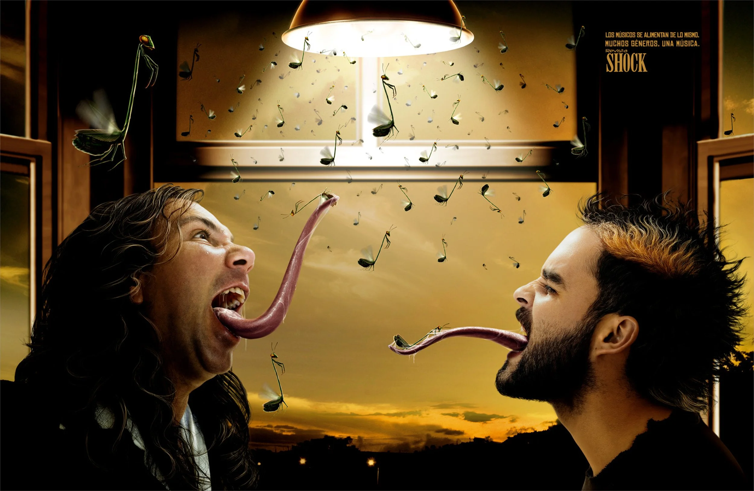 Shcok Moscas2 copia.jpg