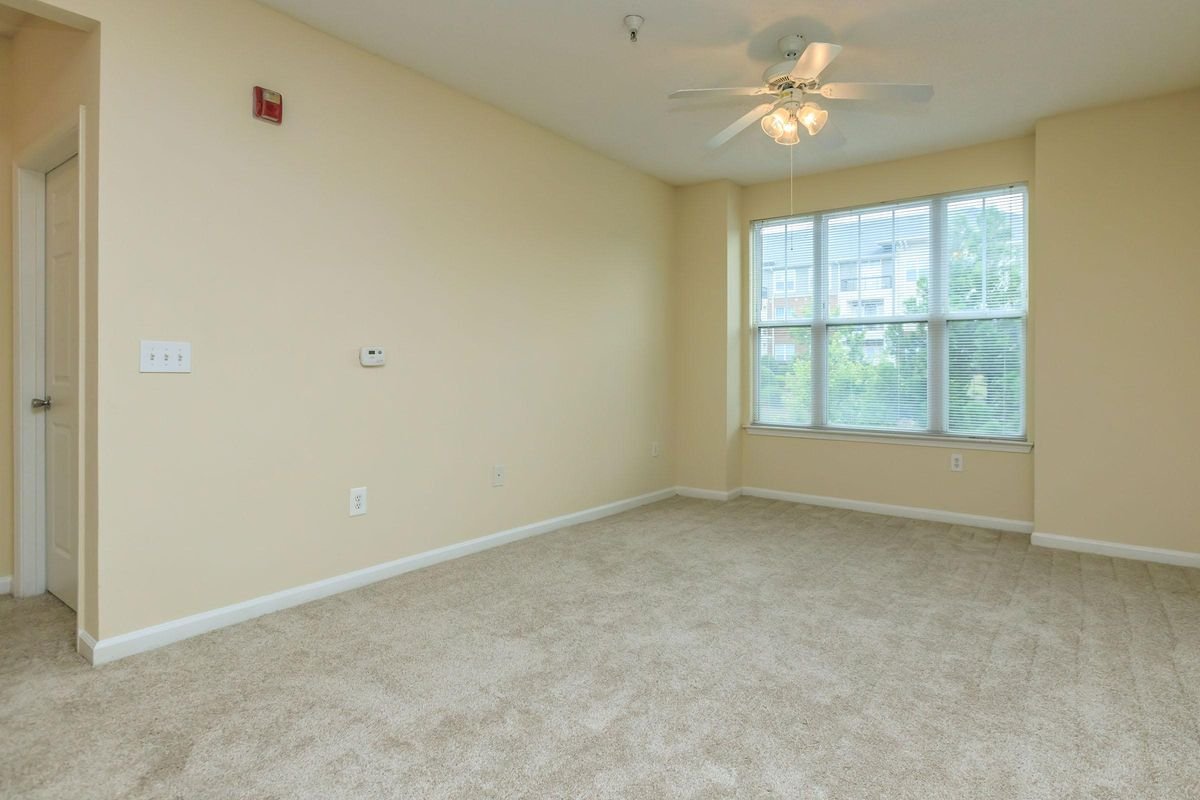 Interior 1.jpg