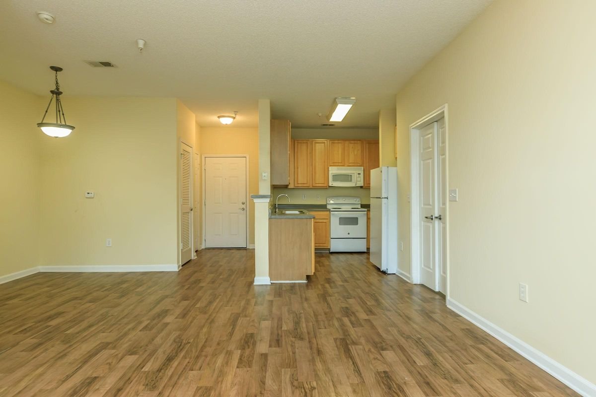 Living Entry and Kitchen.jpg