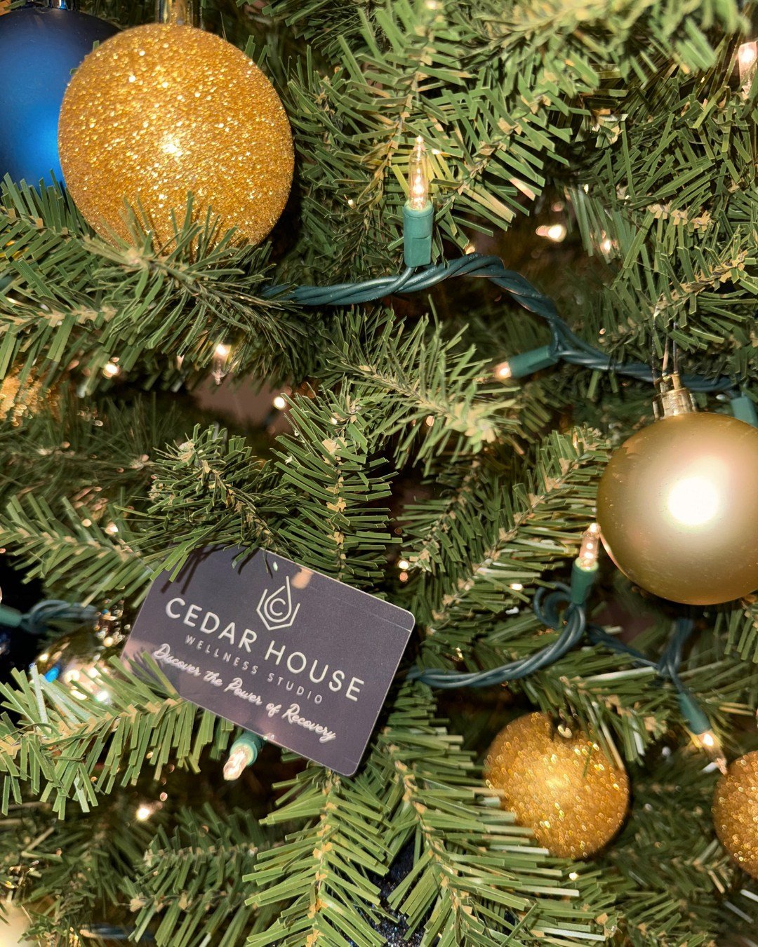 Wellness &gt; more stuff

Holiday gifting made easy:
Buy a $100 gift card, get $20.
Buy a $200 gift card, get $50.