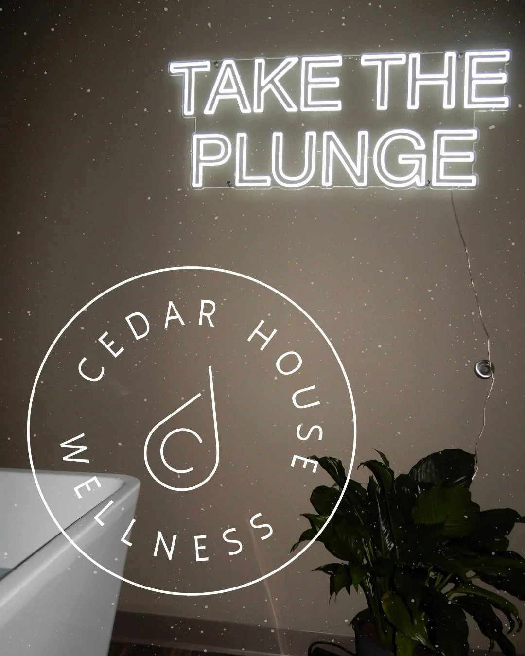 What the sign says. 😉 Come cold plunge with us!

#coldplungetherapy #cedarhousewellnessstudio