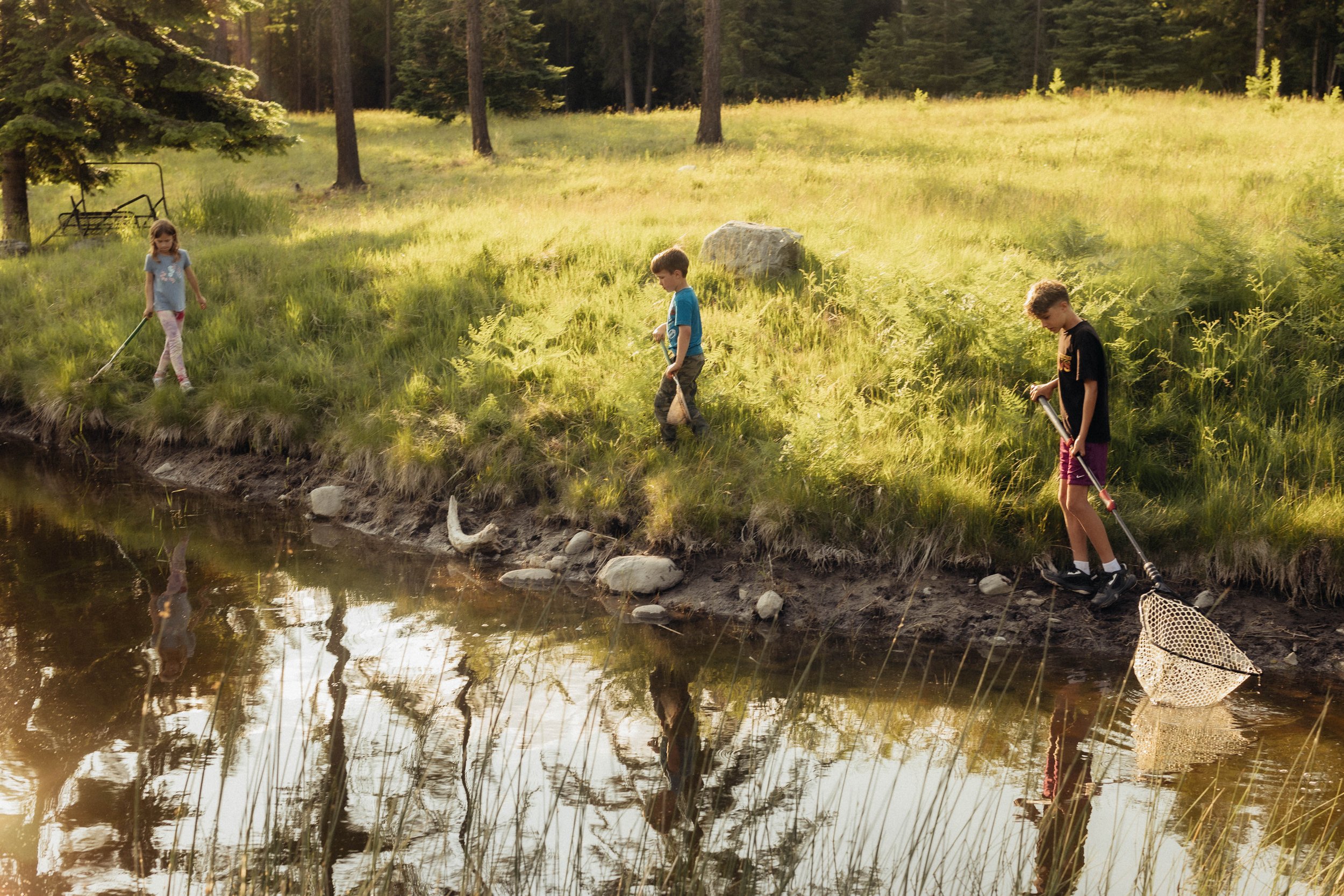 Three children, two boys and a girl, catch fish with nets beside a creek in a grassy, wooded area during the daytime.
