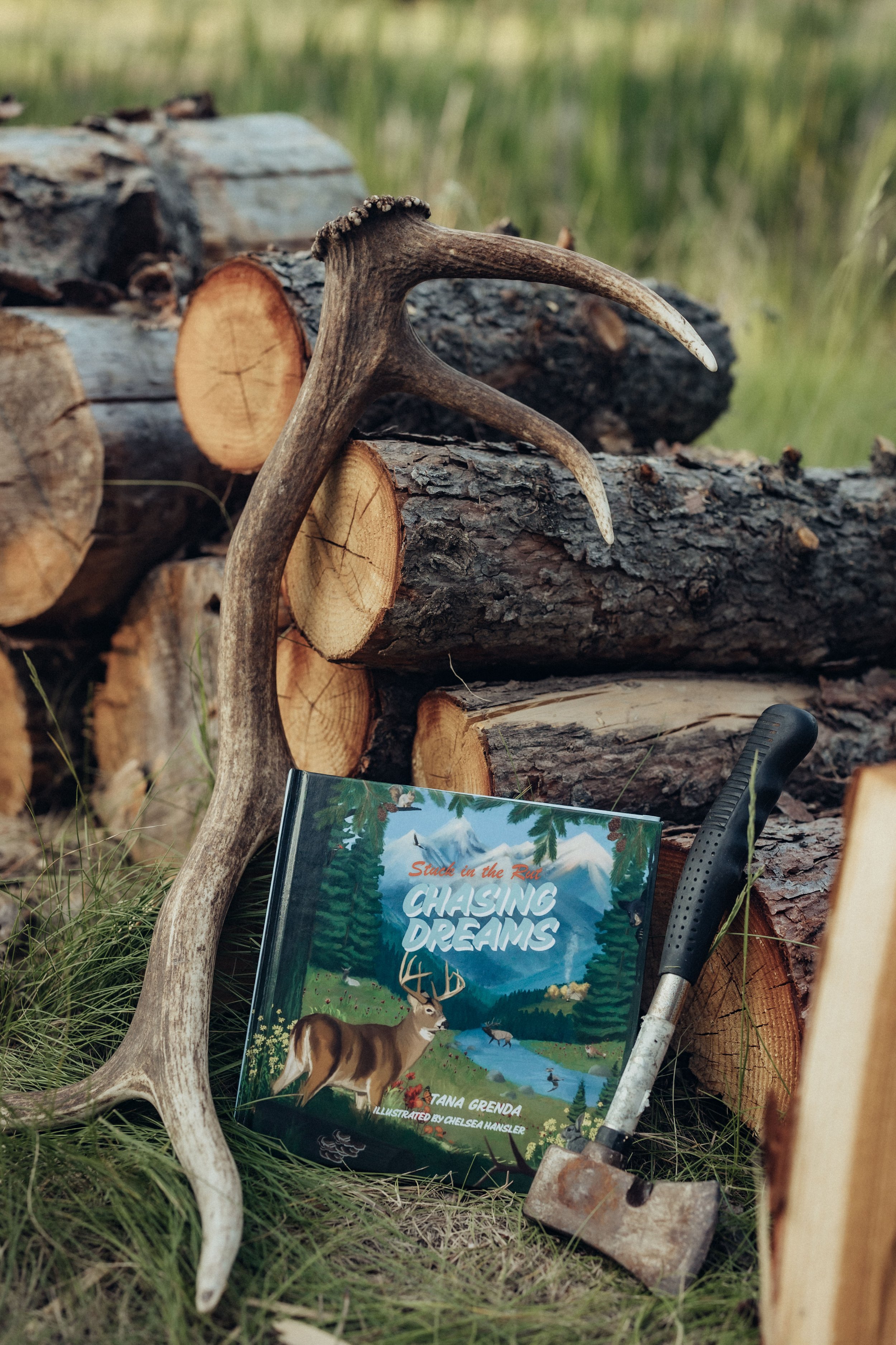 A pile of chopped logs with a pair of antlers and a children's book titled 'Chasing Dreams' by Tana Grenda, with an illustration of a deer, set outdoors on grass.