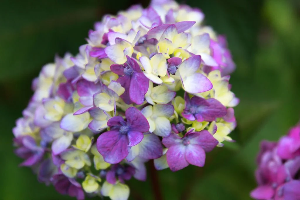 color-contrast-5.jpg