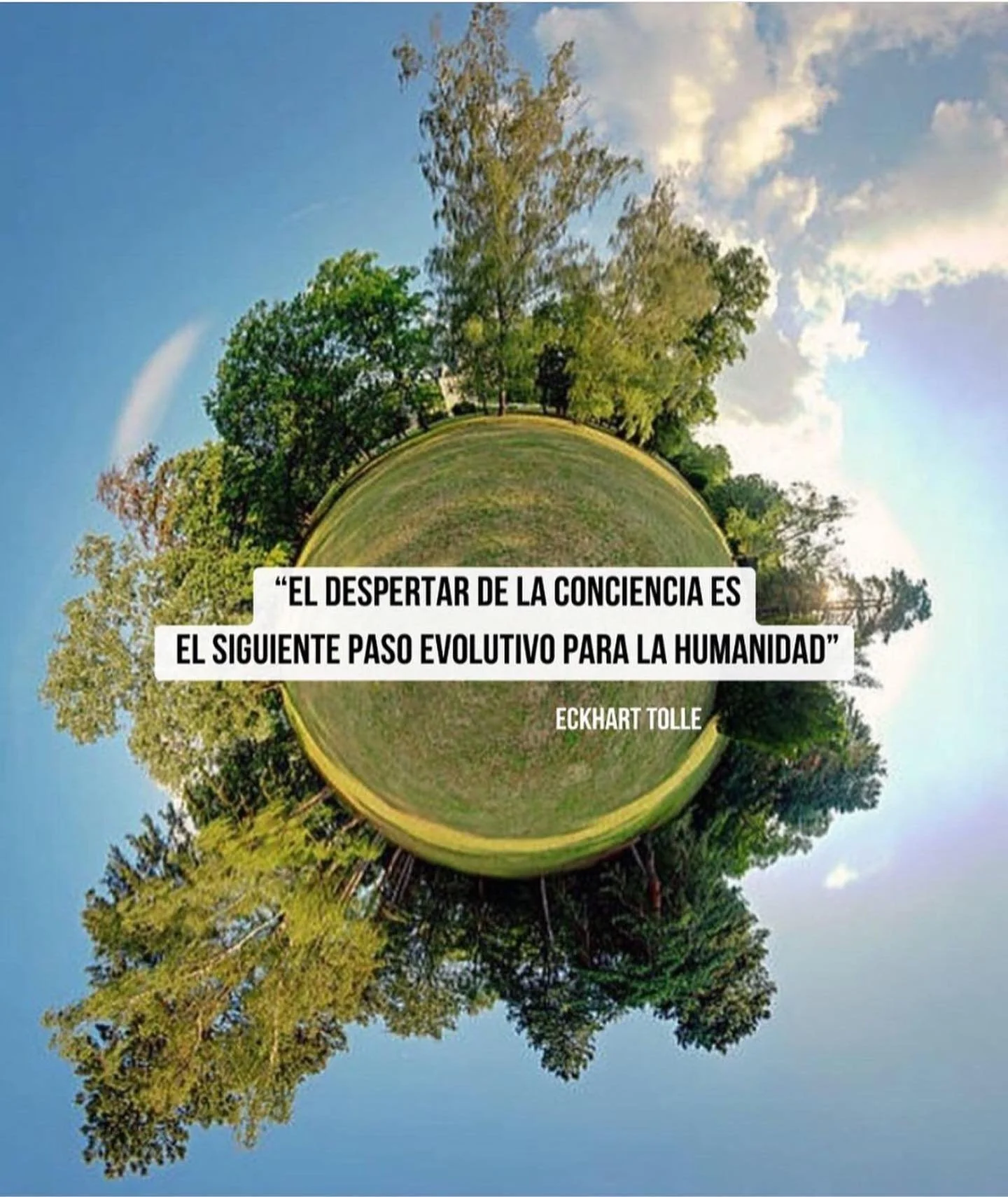 Sesiones de Psicolog&iacute;a Transpersonal 🕊️

El proceso terapéutico nos ayuda a sanar patrones repetitivos, afrontar cambios, aprender a gestionar nuestras emociones, enfrentar miedos, reprogramar creencias, potenciar recursos internos y mucho m