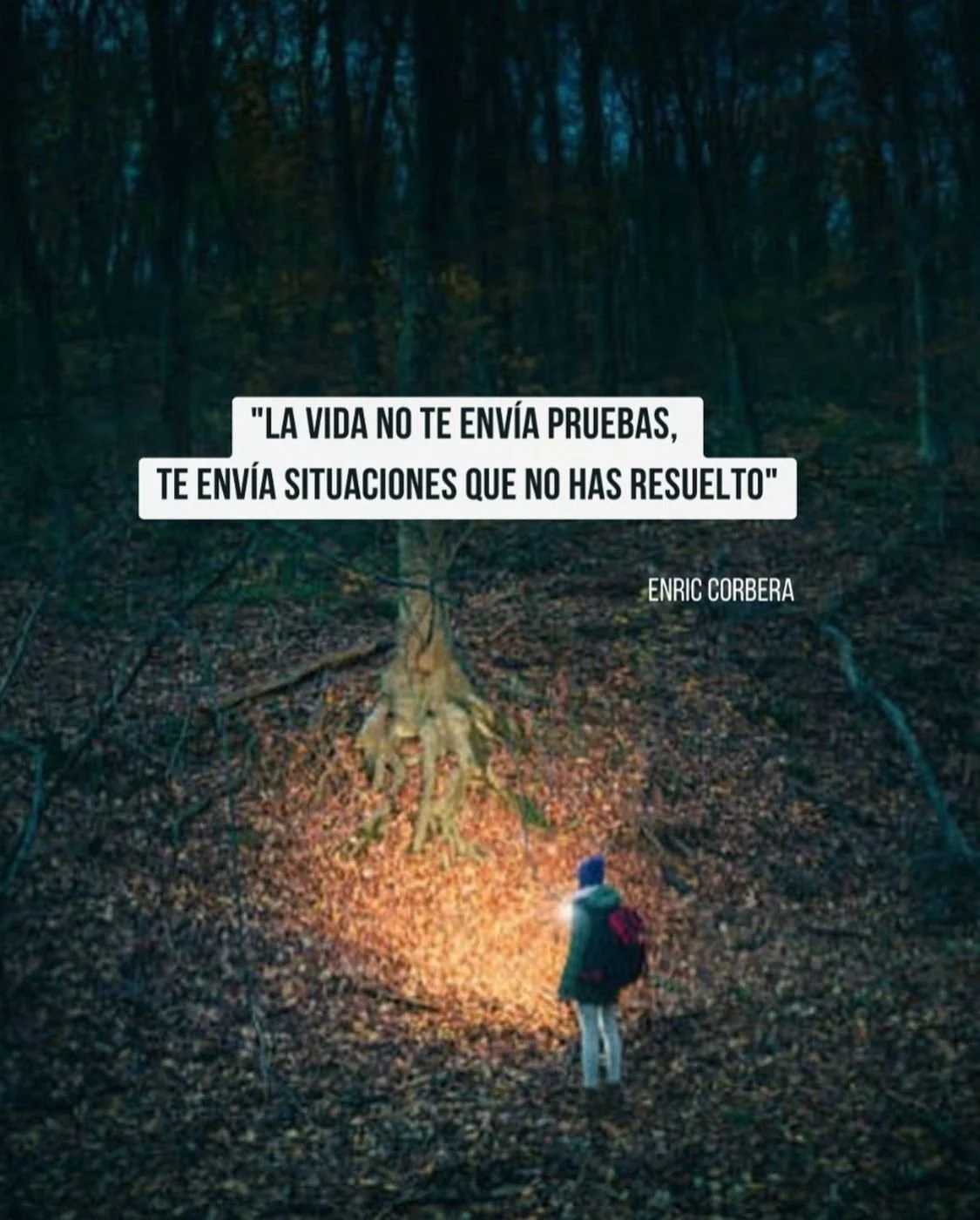 Una persona con mochila en un bosque oscuro, con una luz brillante en el suelo y un árbol con raíces extendidas. Texto en la imagen: 'La vida no te envía pruebas, te envía situaciones que no has resuelto.'