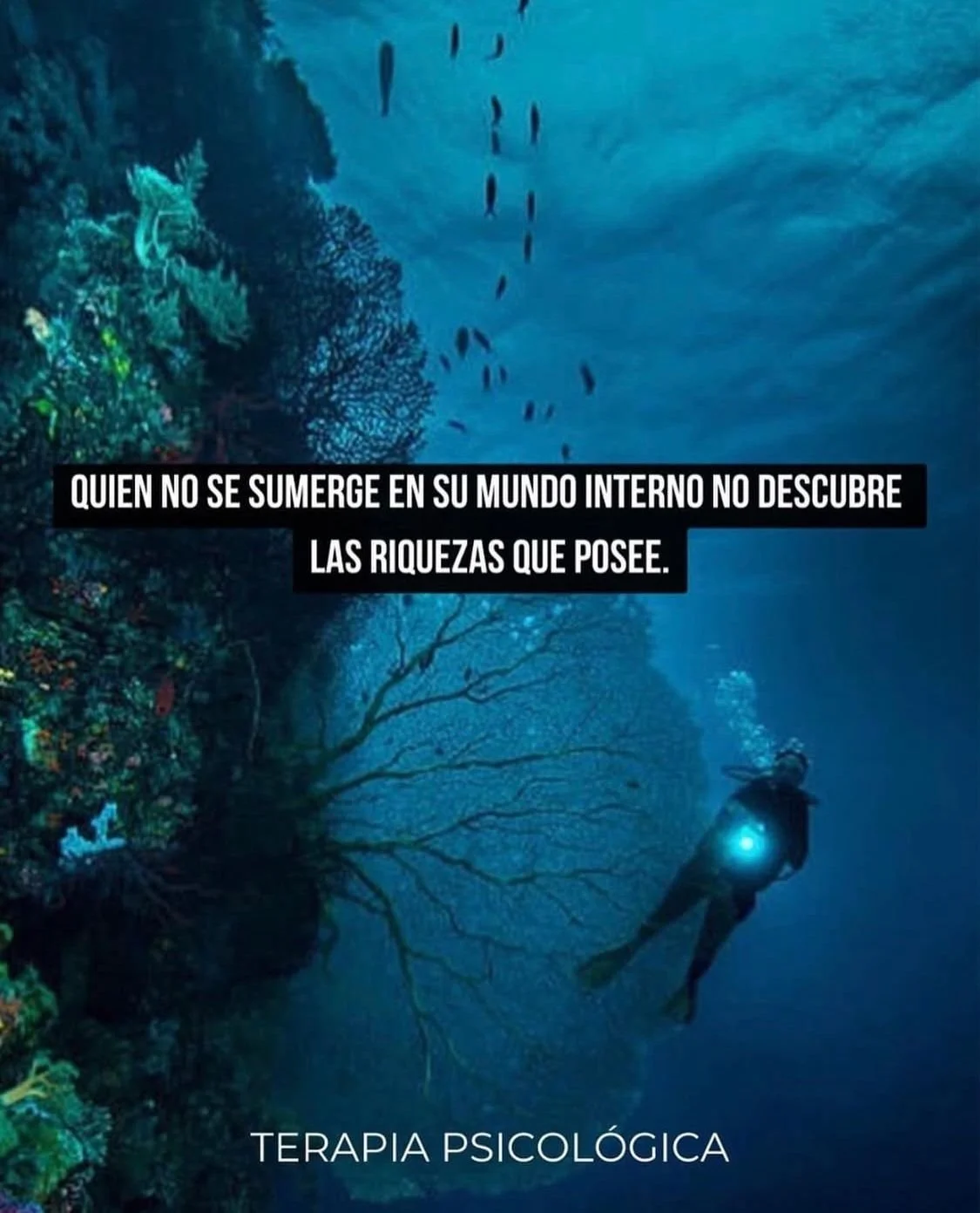 Imagen de un buceador en el fondo del mar con coral y peces, acompañada de texto que dice: "Quien no se sumerge en su mundo interno no descubre las riquezas que posee". En la parte inferior, se lee "Terapia psicológica".
