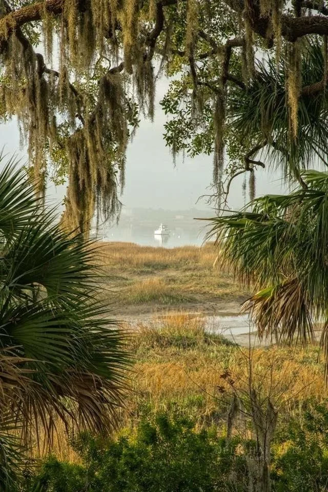 A view through trees over a marsh to a body of water with a boat in the distance.