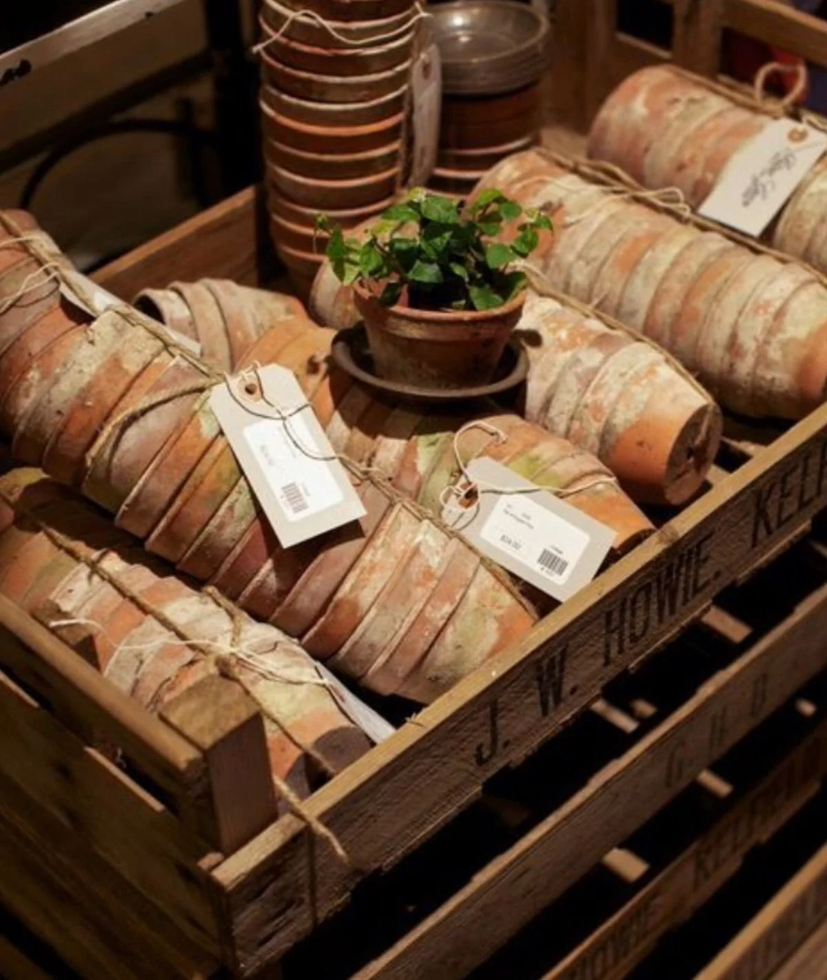 Patinated Pot Cluster