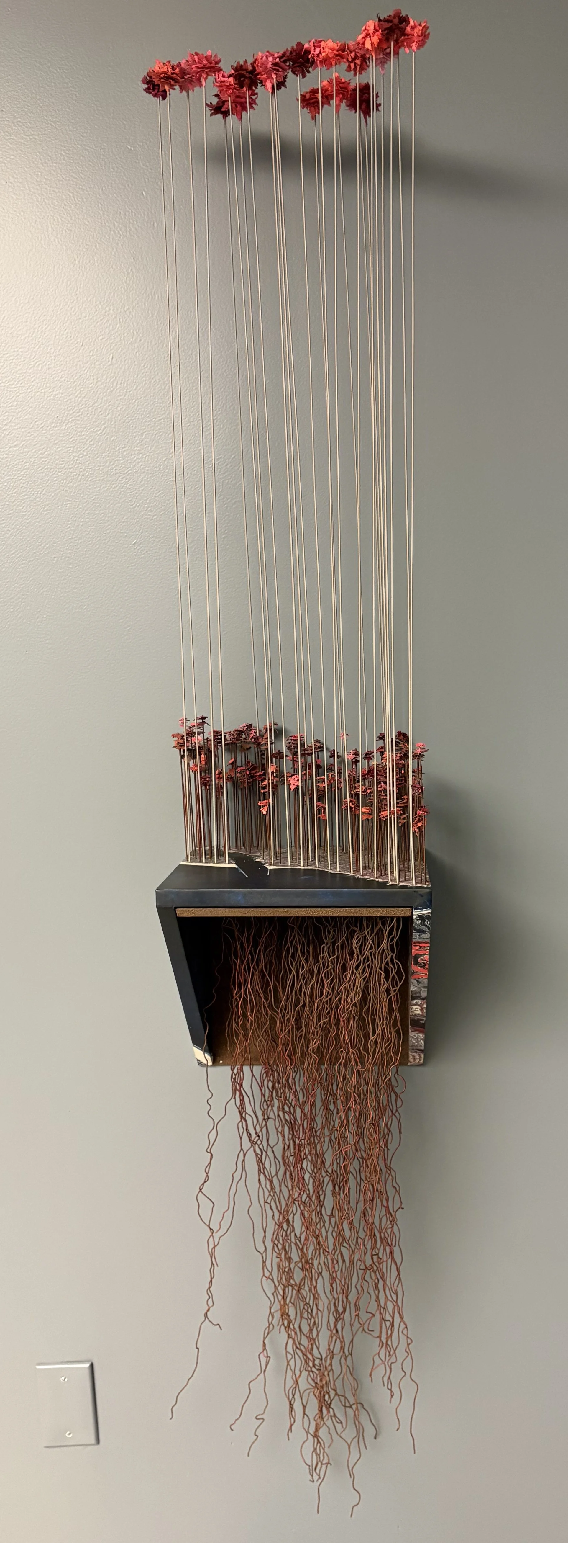 Enchanted Forest, Infrared, 2012