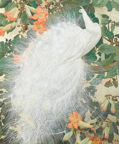 White Peacock